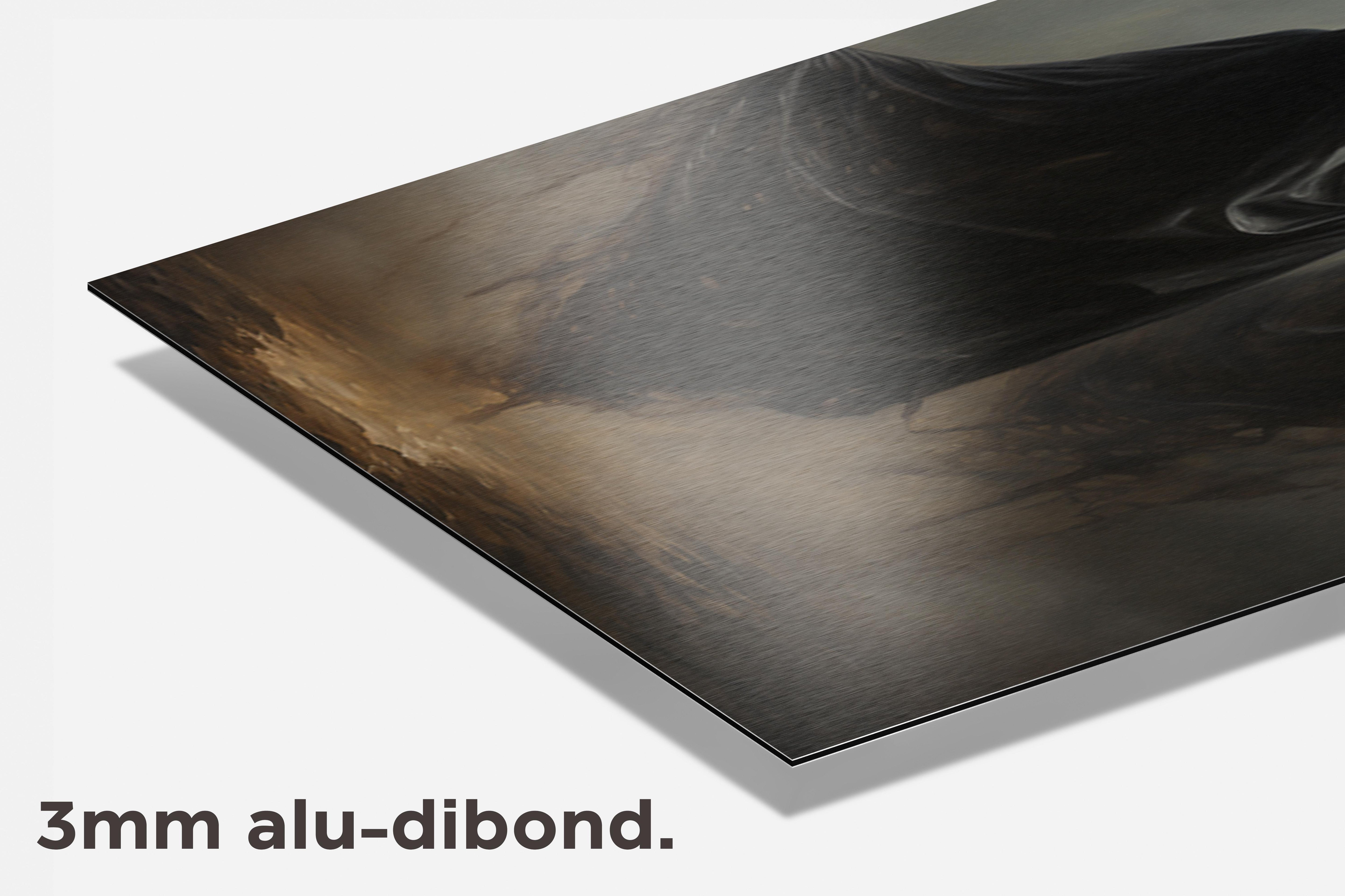 Dementors dibond detail