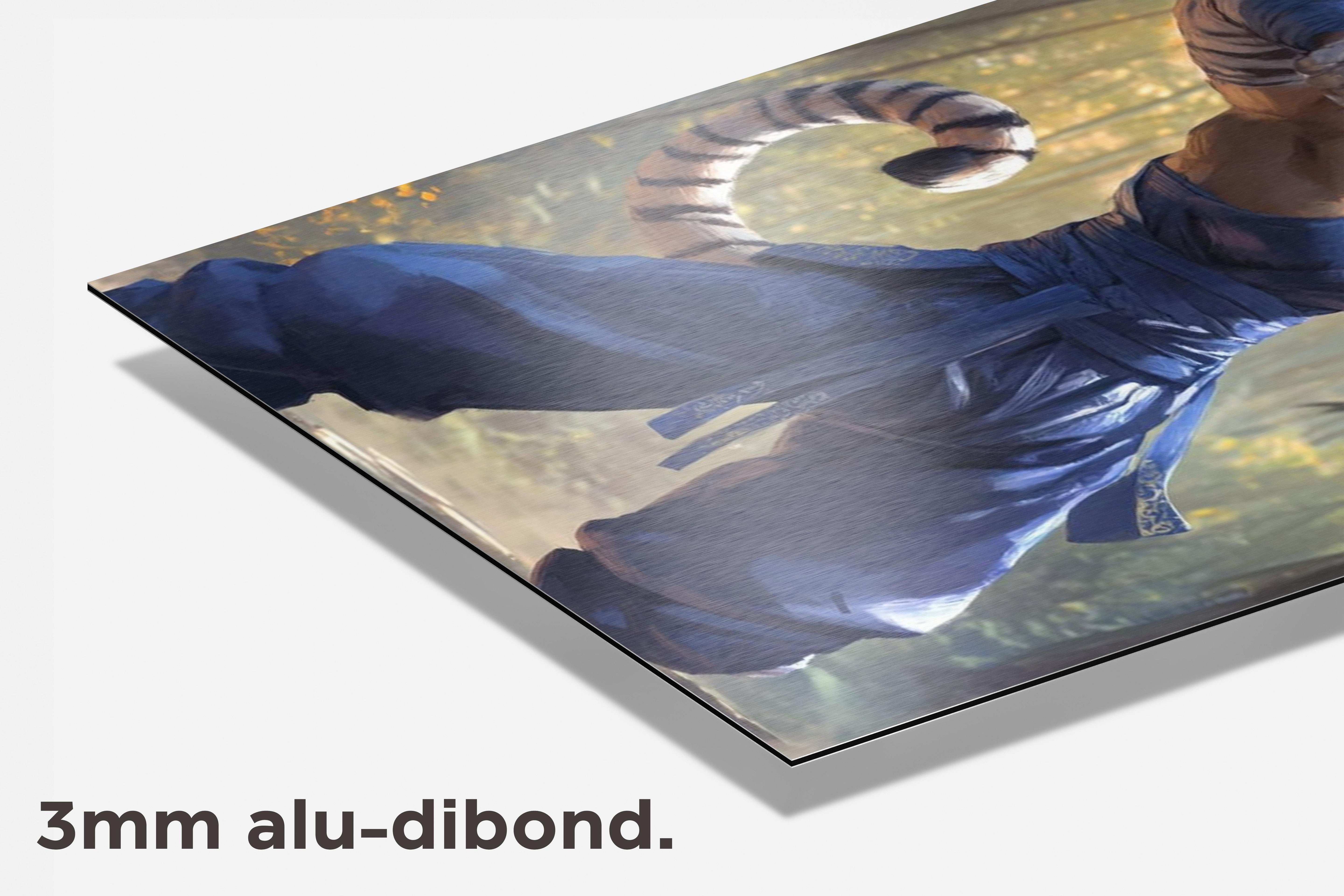 Tijger Kung Fu dibond detail