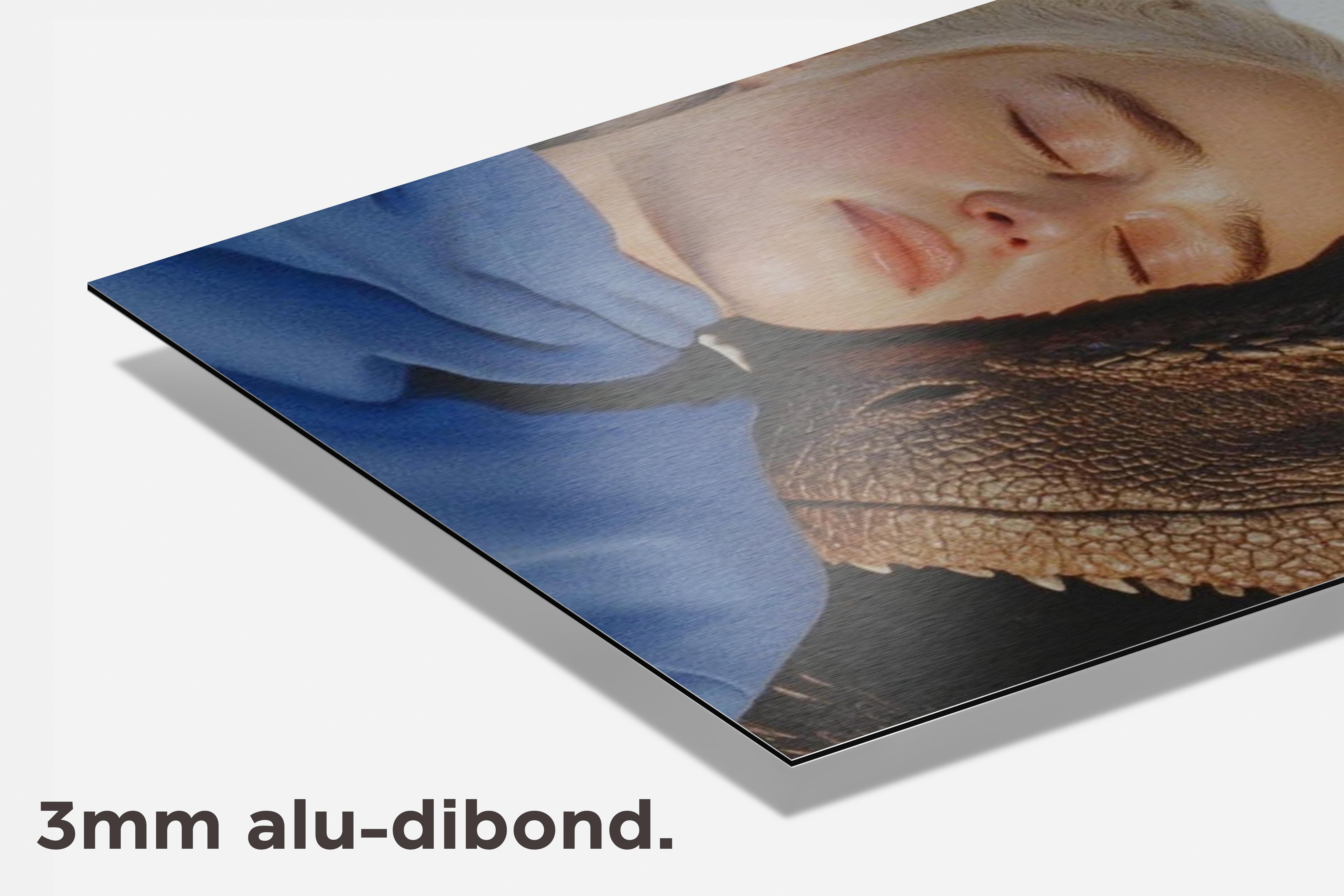 Daenerys Targaryen dibond detail