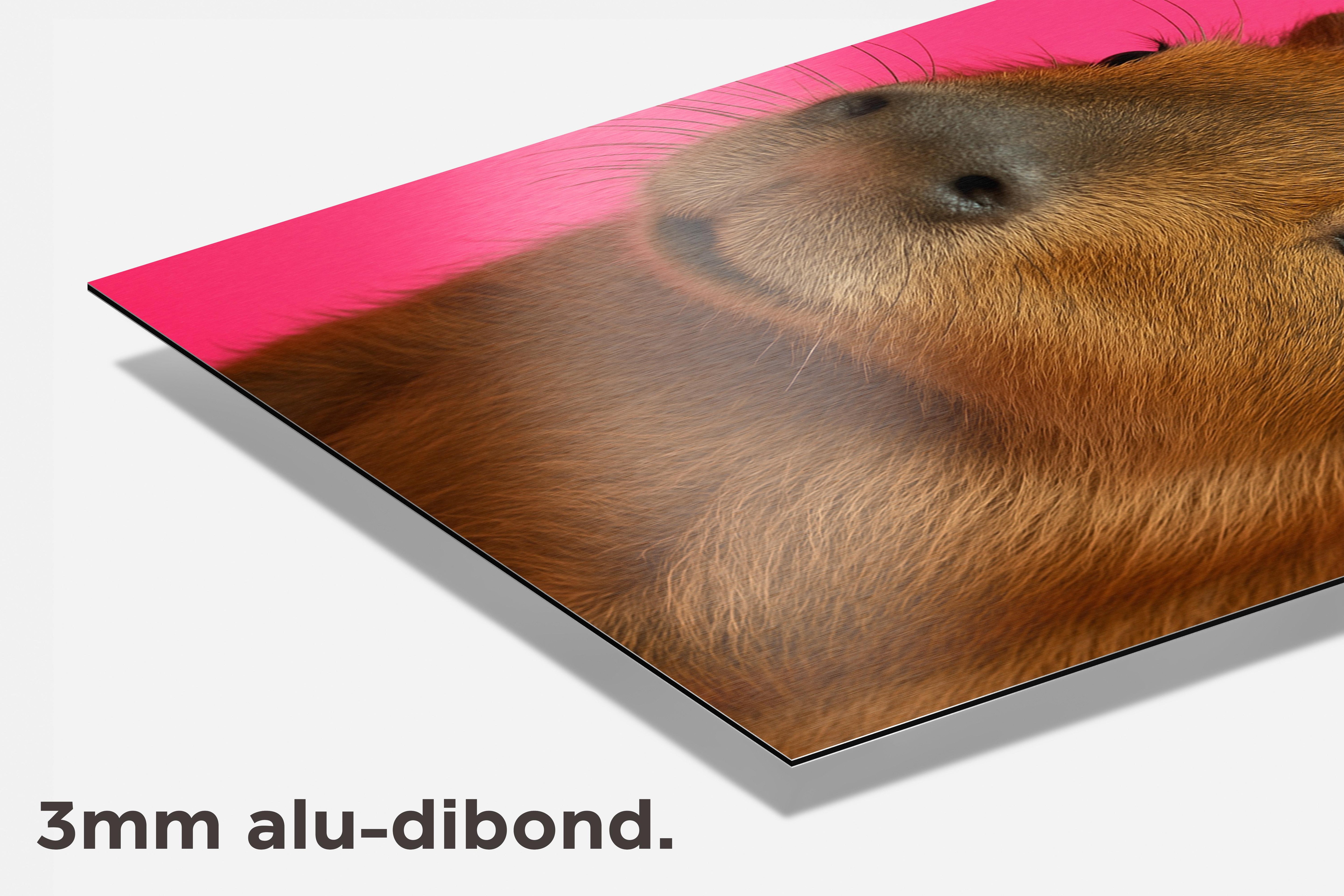Capibara Strik dibond detail