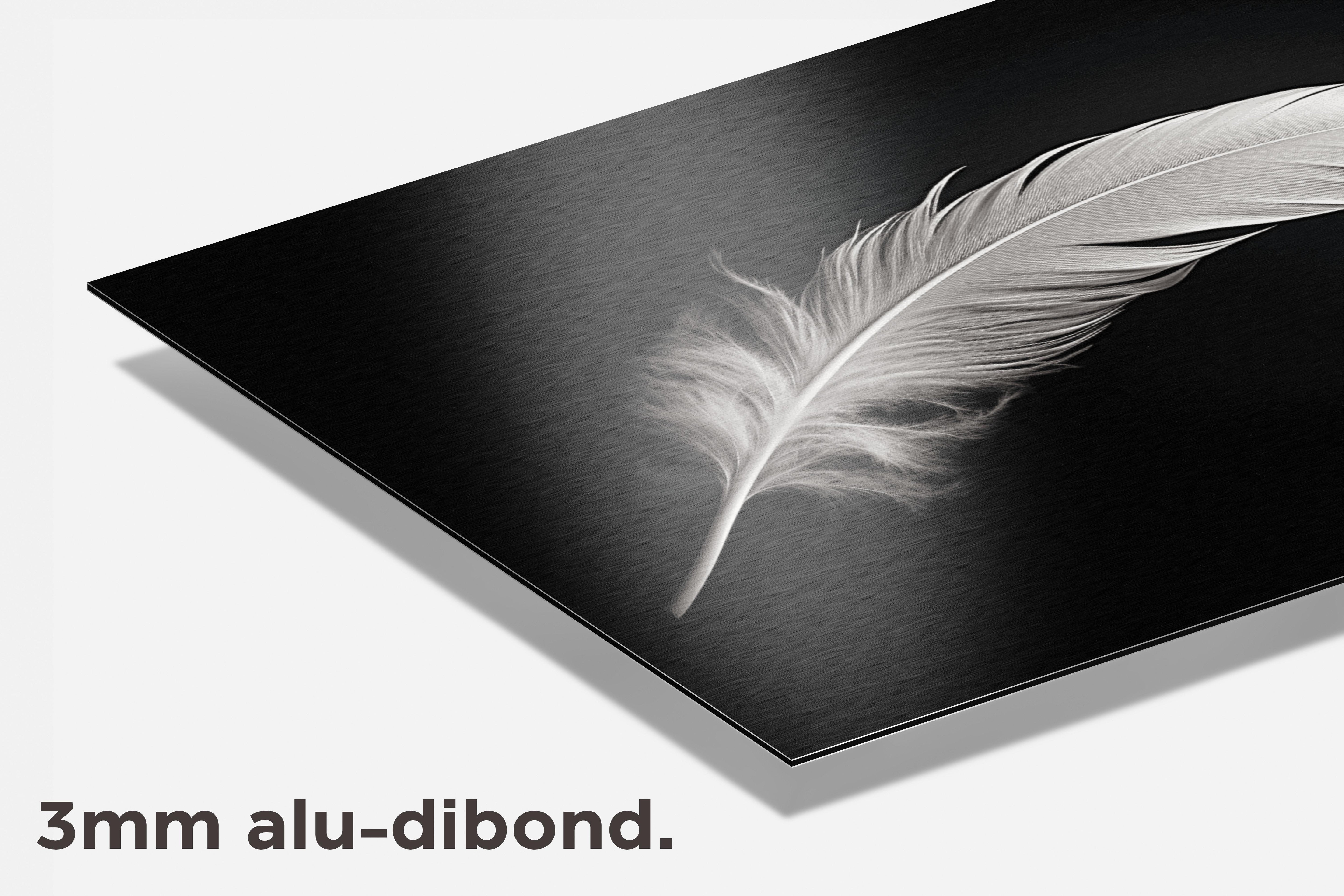 Aesthetic Veer dibond detail