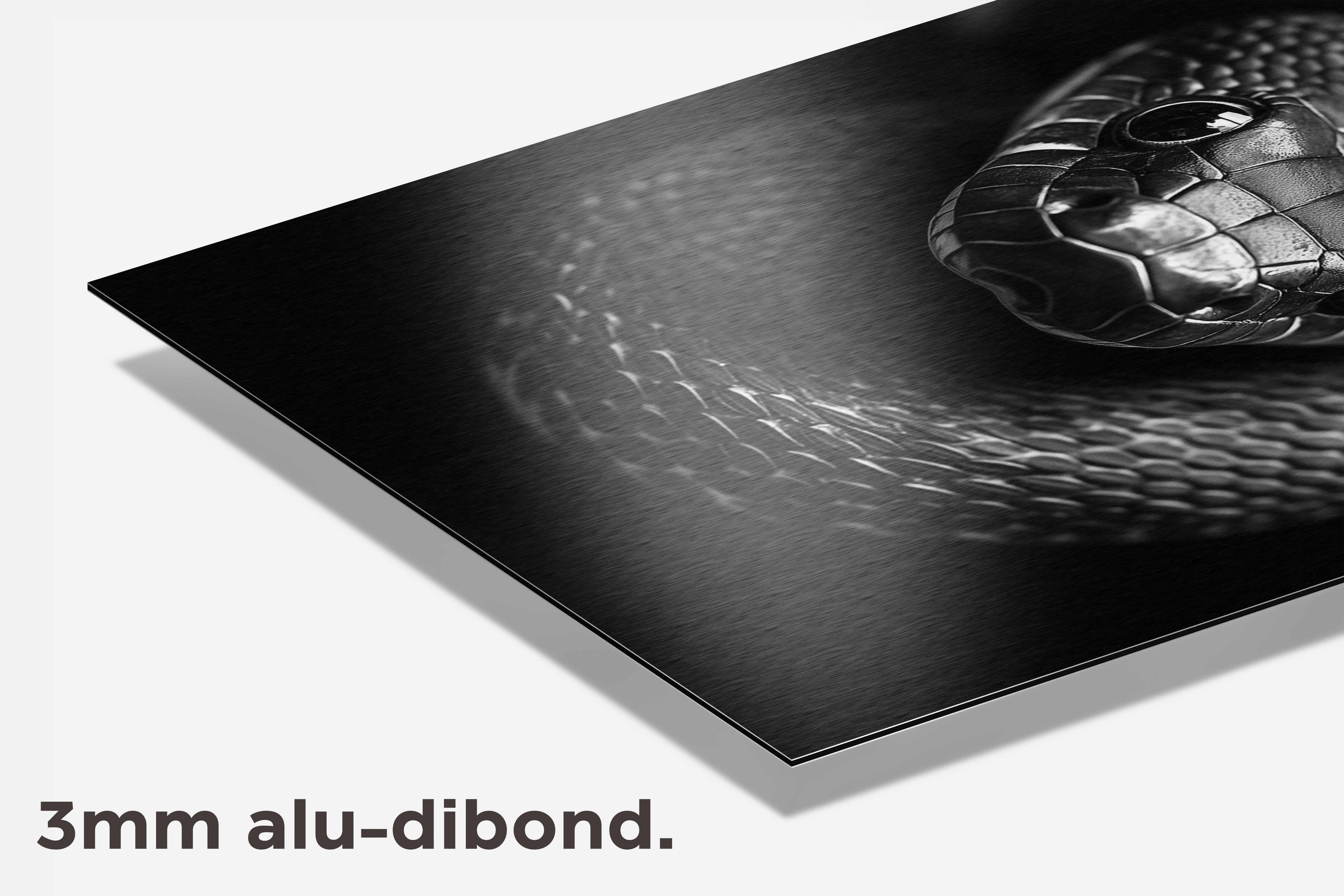 Slang dibond detail