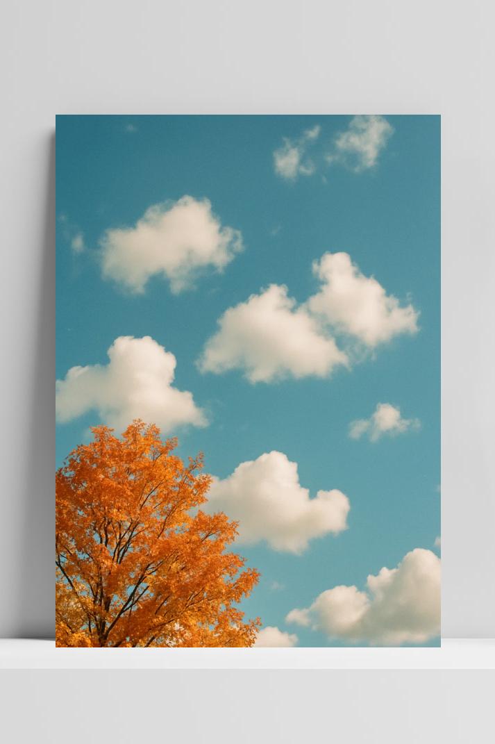 Clouds Sky Autumn Tree Nature in interieur