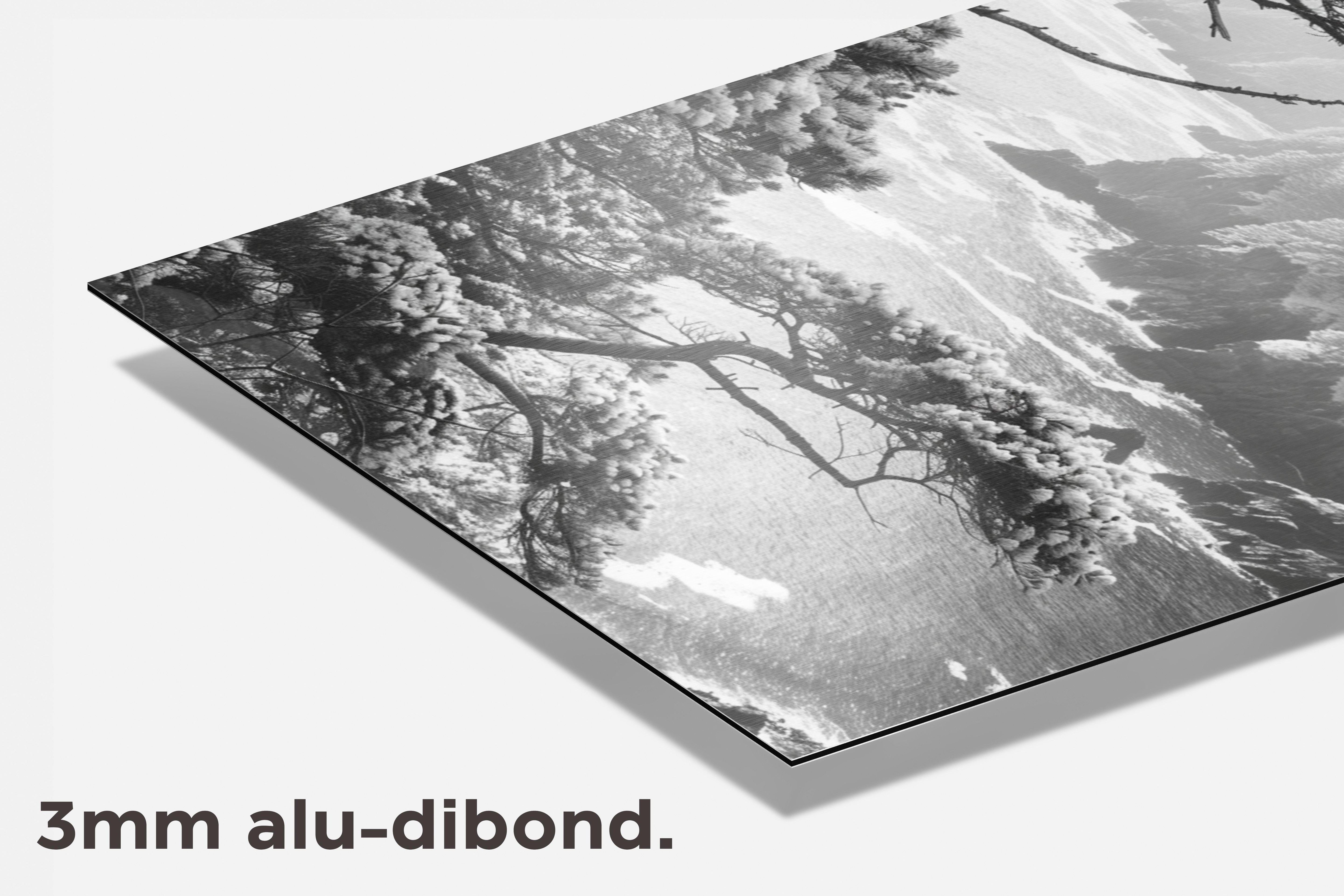 Landschap Zwart Wit dibond detail