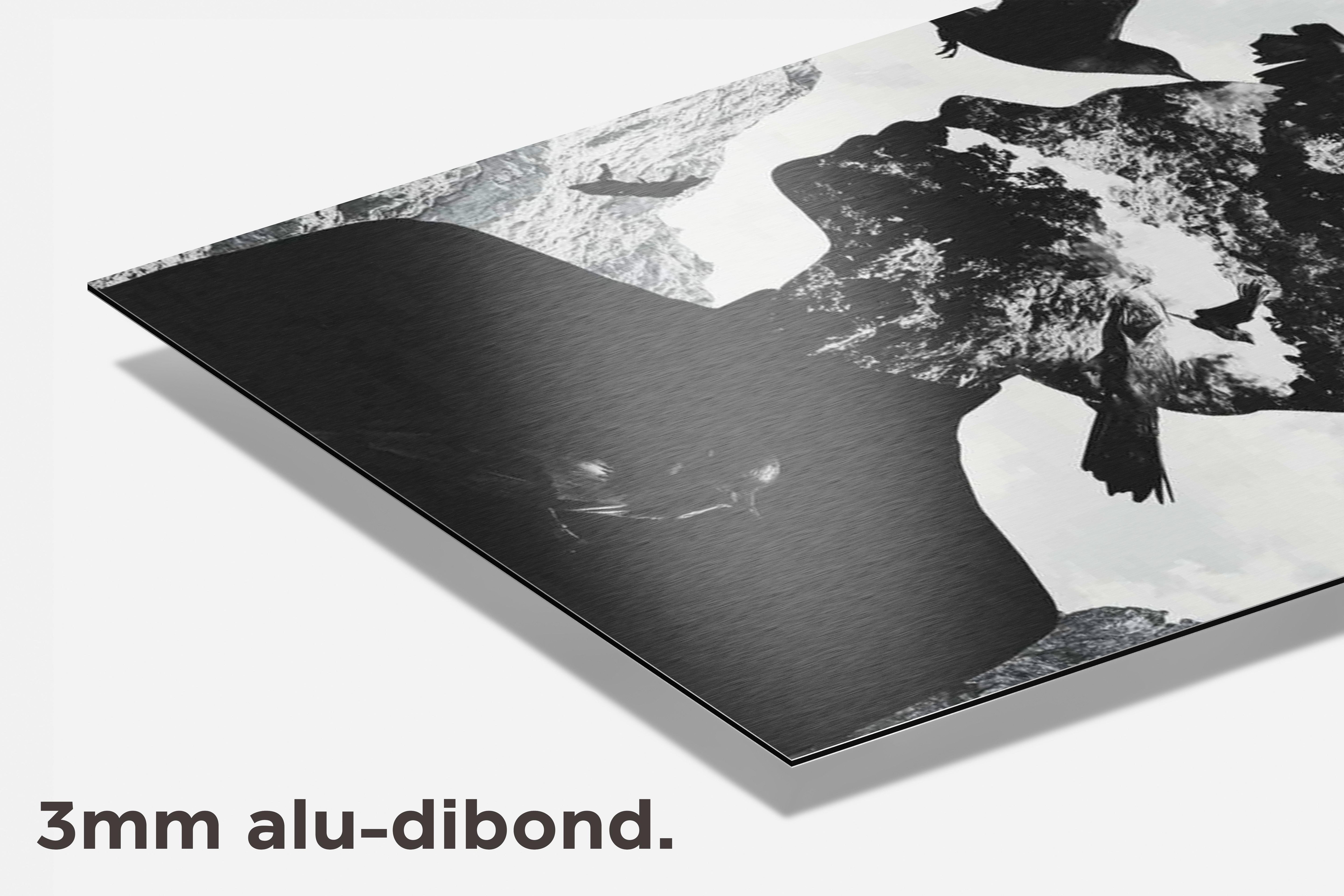 Vrouw Kraaien dibond detail