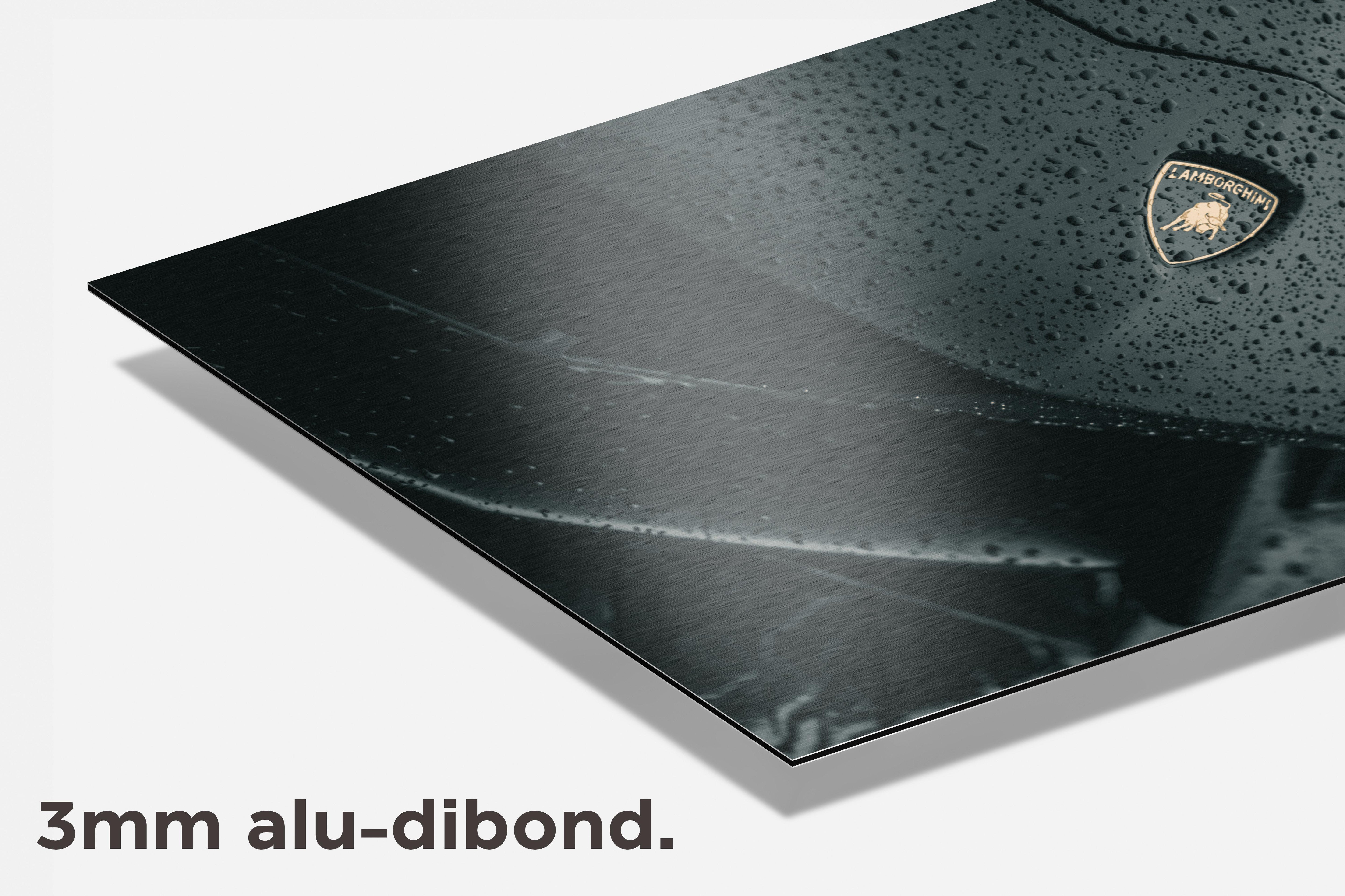 Lambo Logo dibond detail