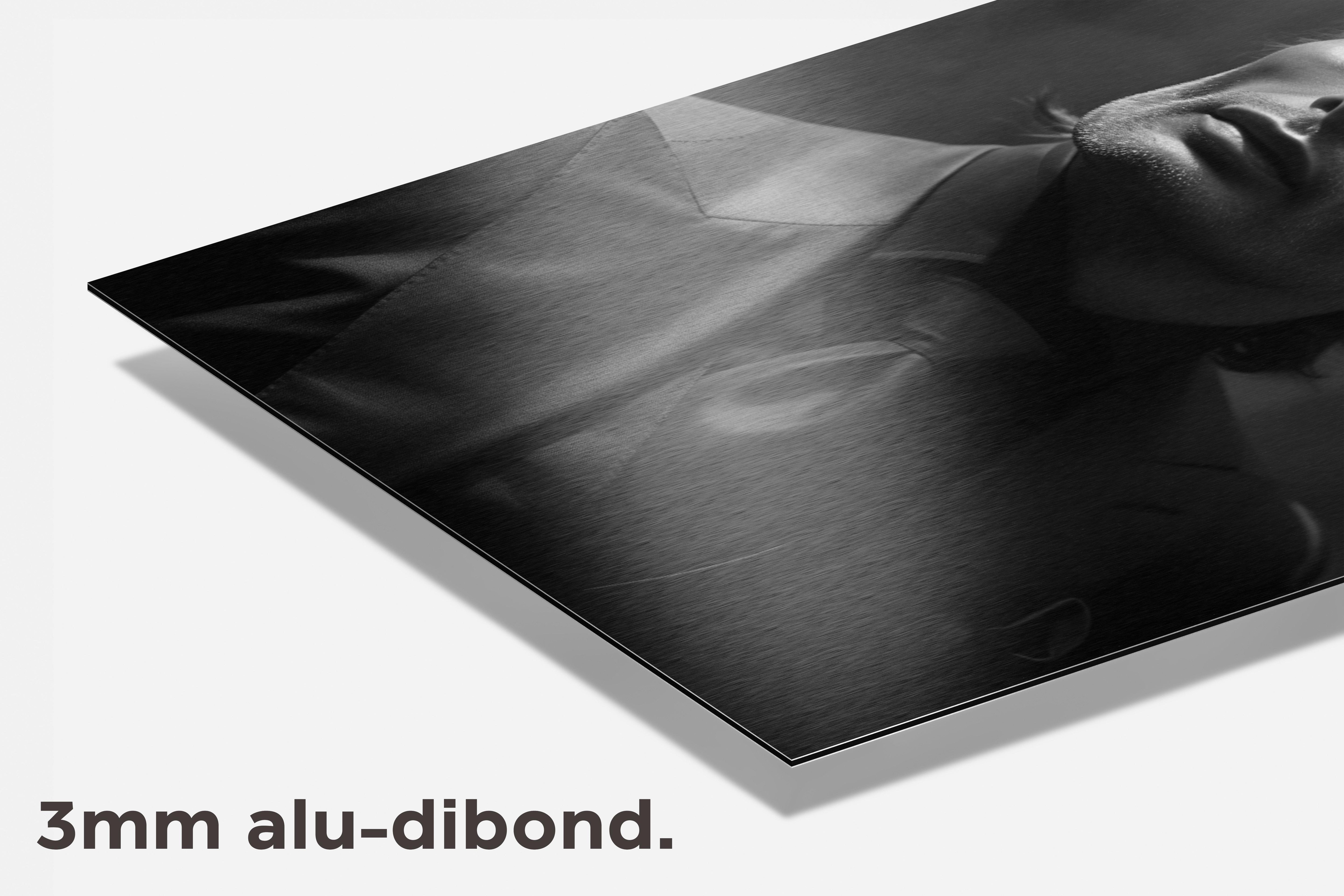 Mads Mikkelsen dibond detail
