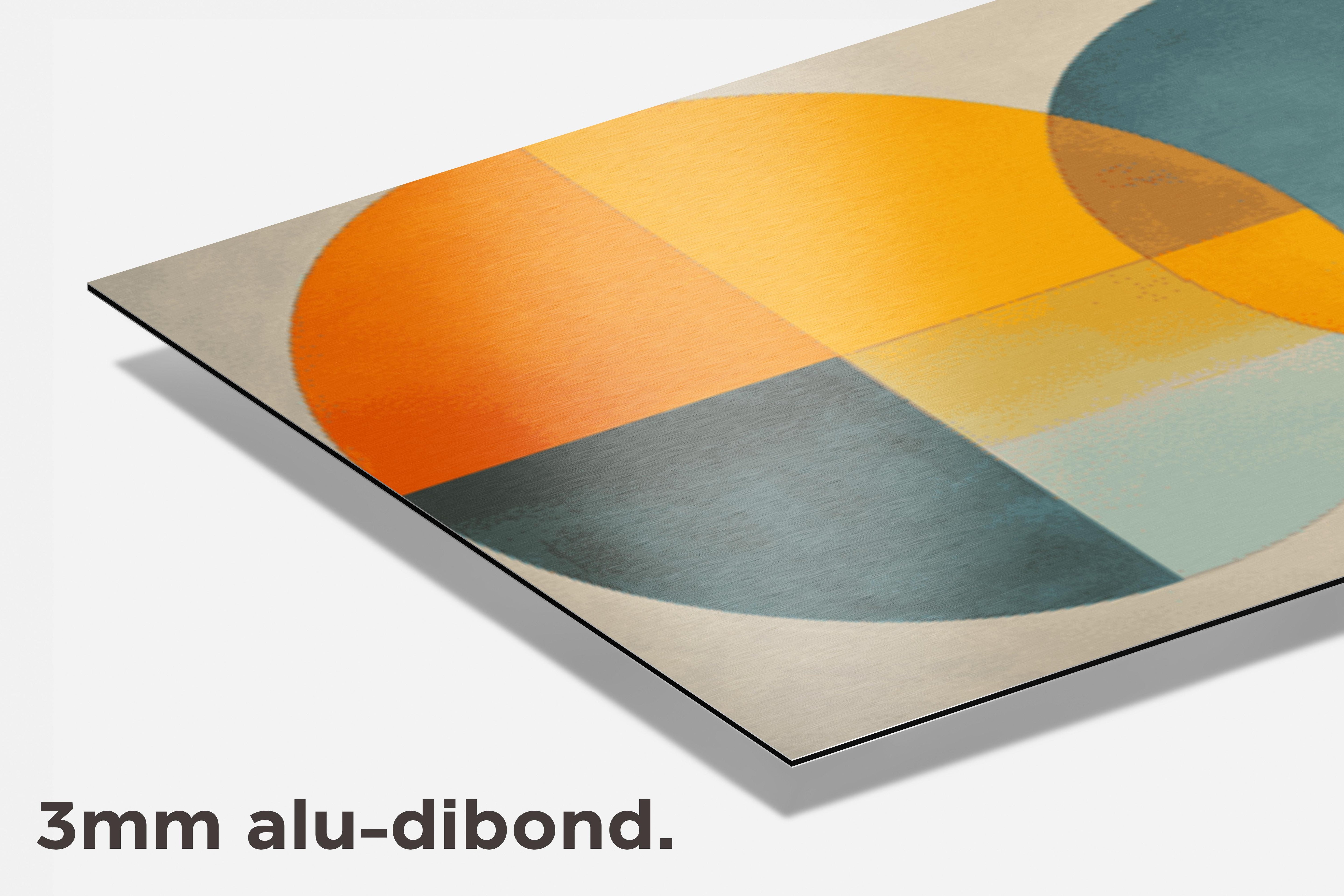 Cirkels Oranje Blauw dibond detail