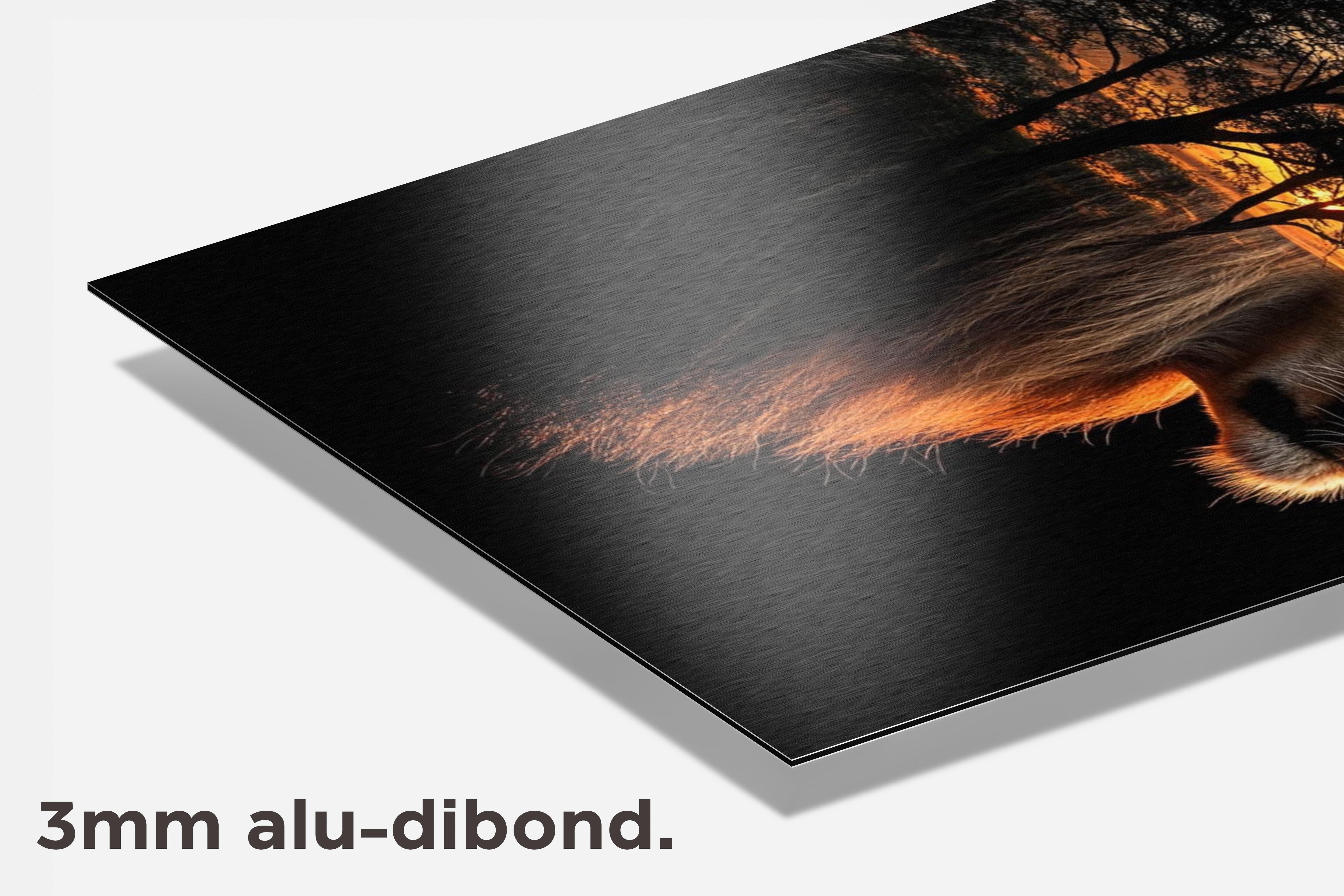 Leeuw Natuur dibond detail