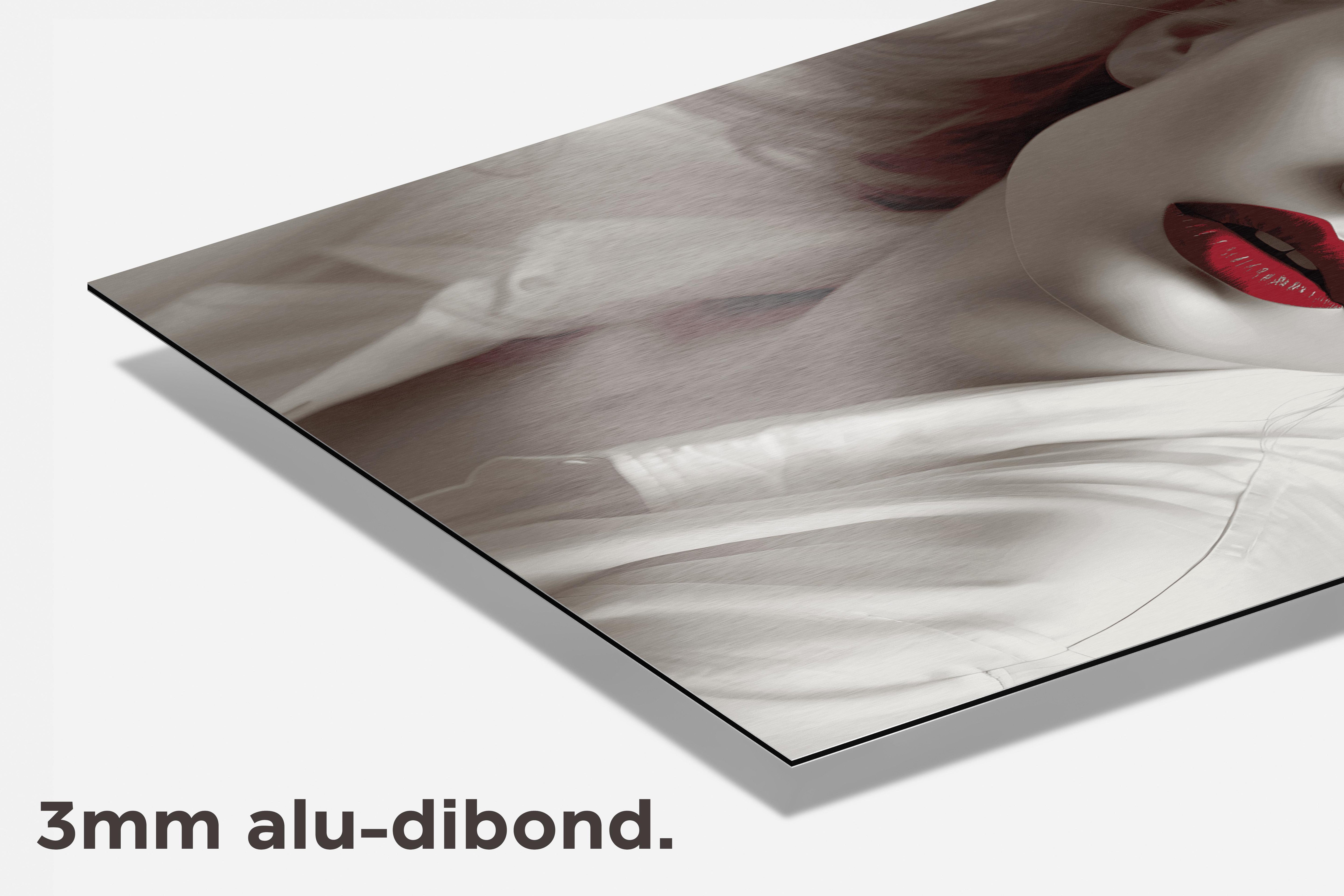 Rode Lippen Aesthetic dibond detail