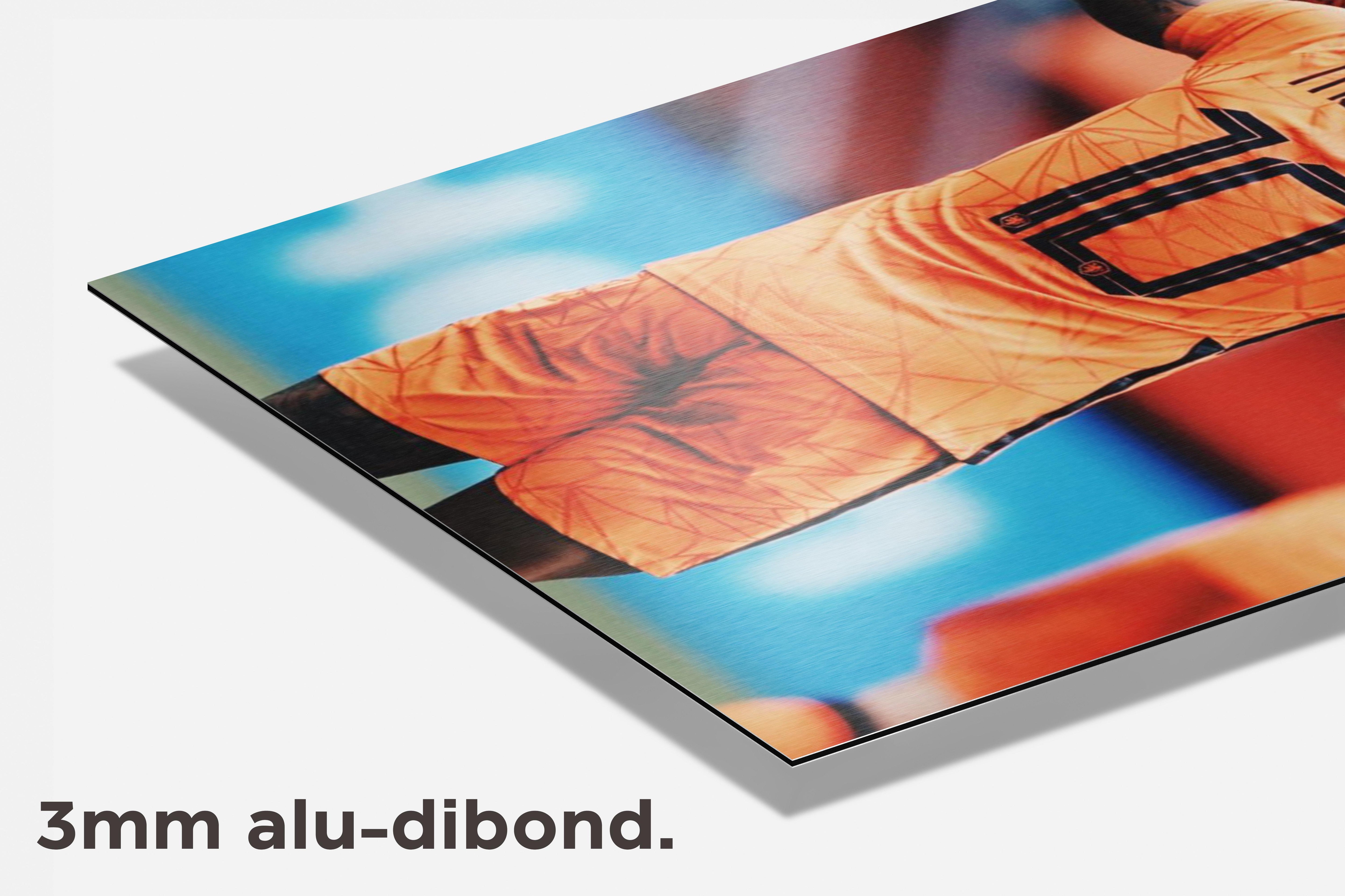 Memphis Depay dibond detail