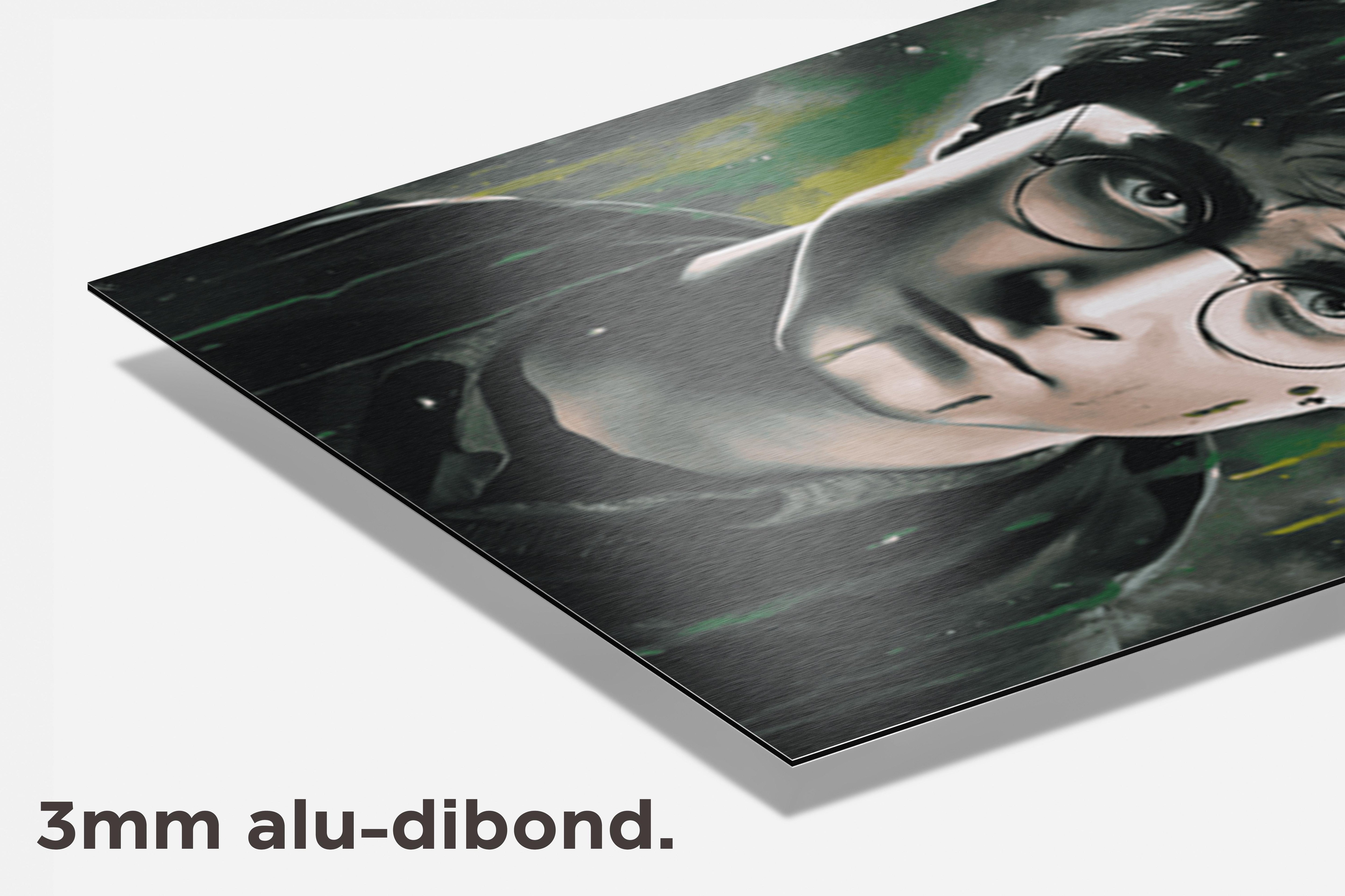 Harry Potter Zwadderich dibond detail