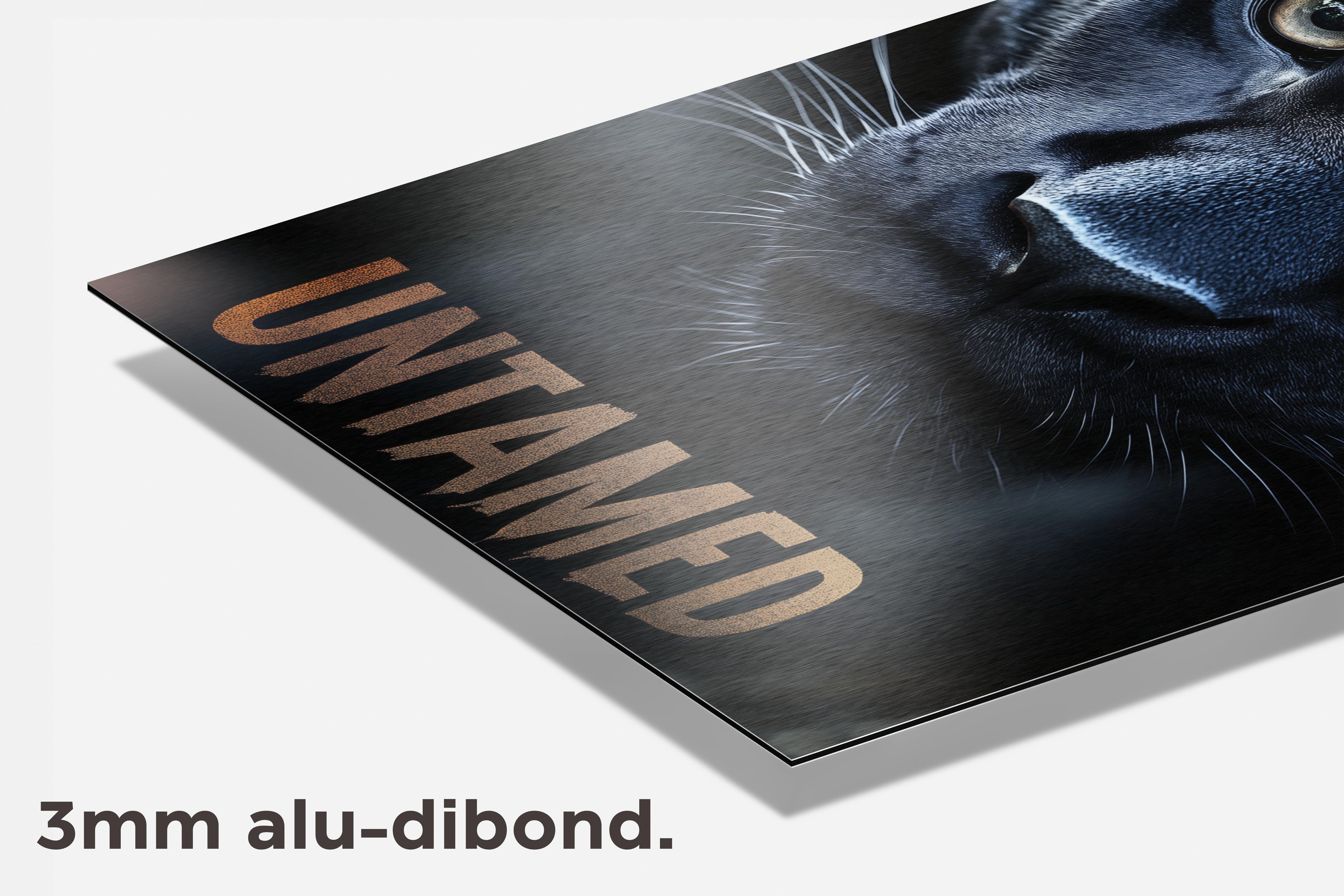 Untamed dibond detail