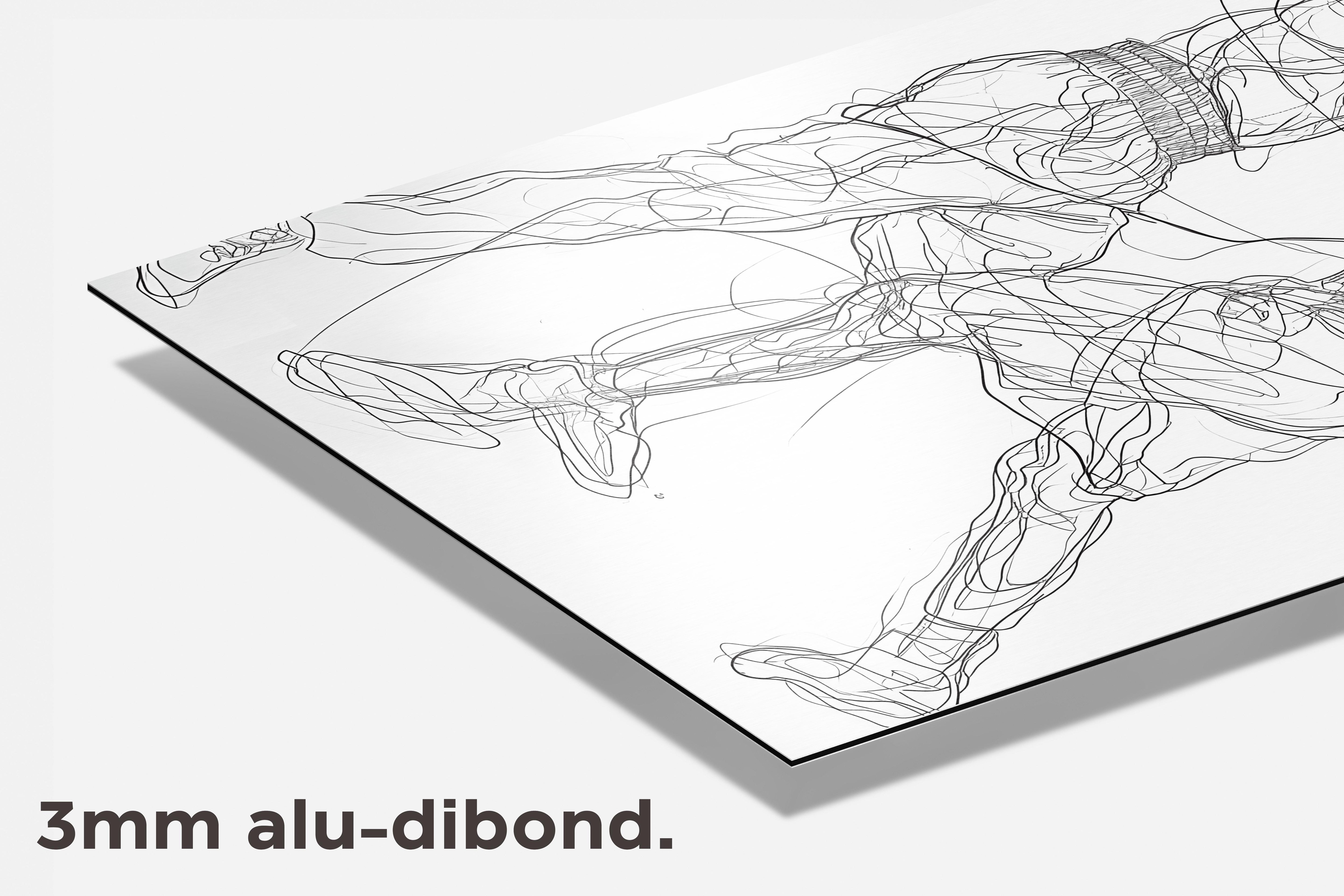 Boksen Lijnen Zwart Wit dibond detail