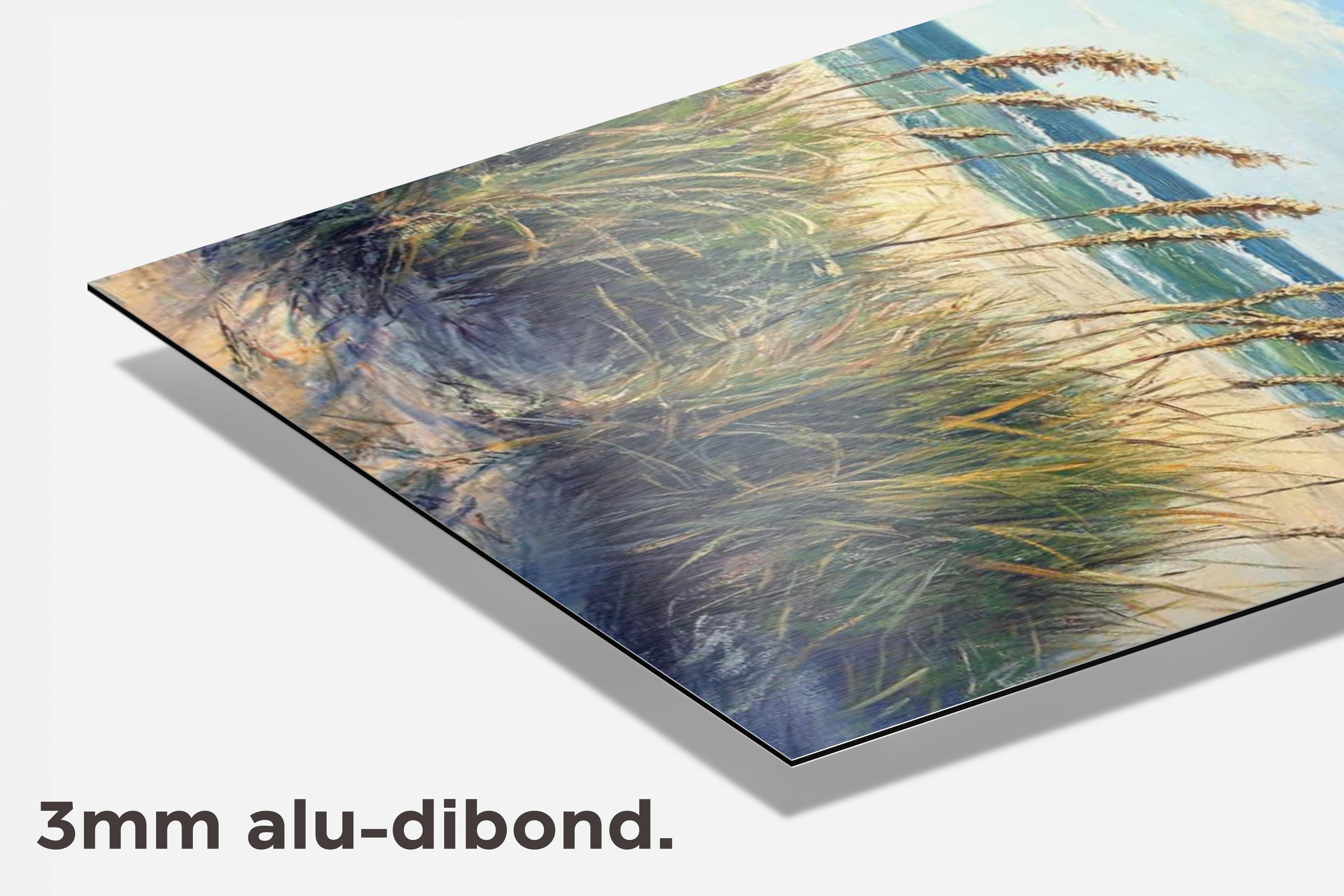 Duinen dibond detail