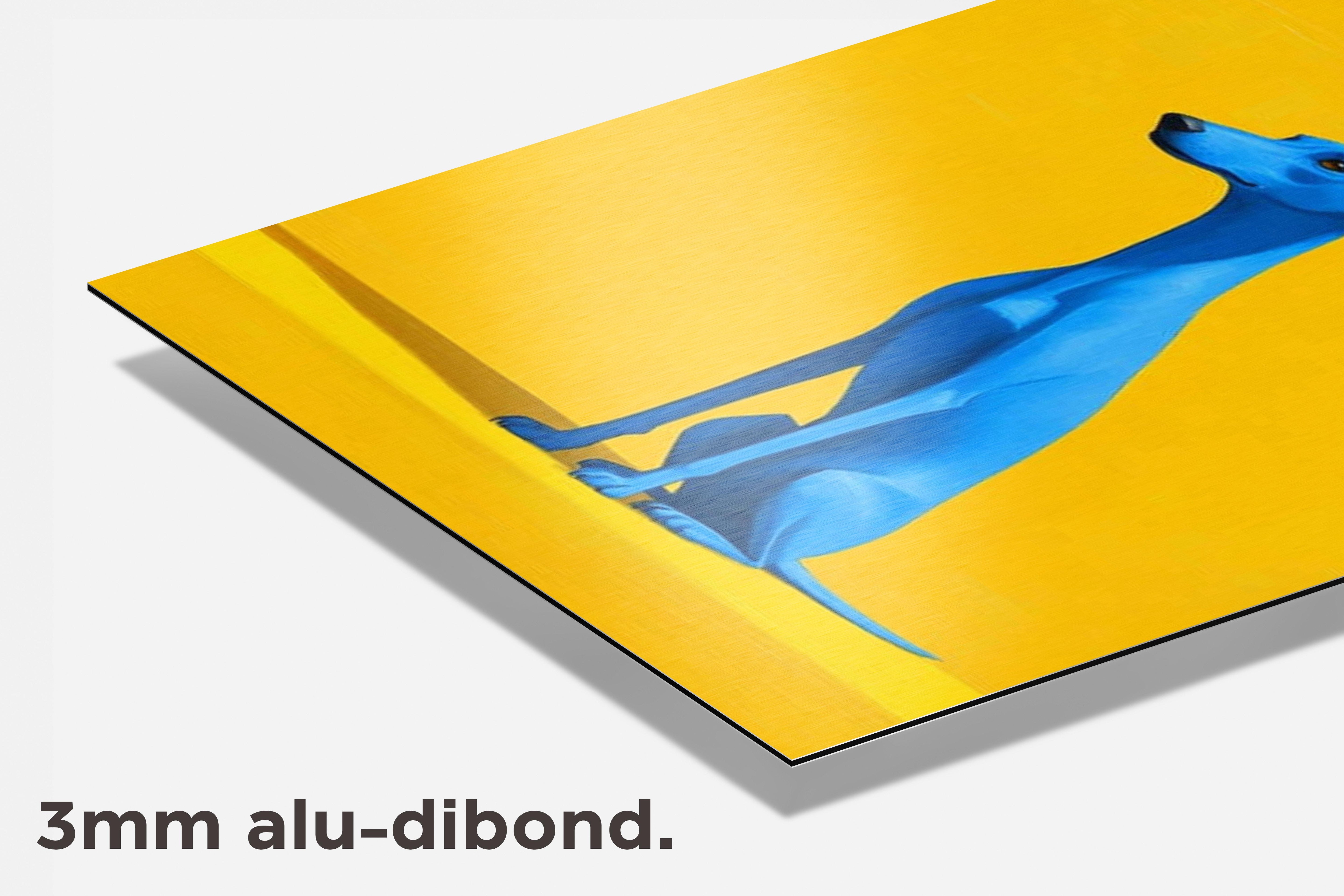 Hond dibond detail
