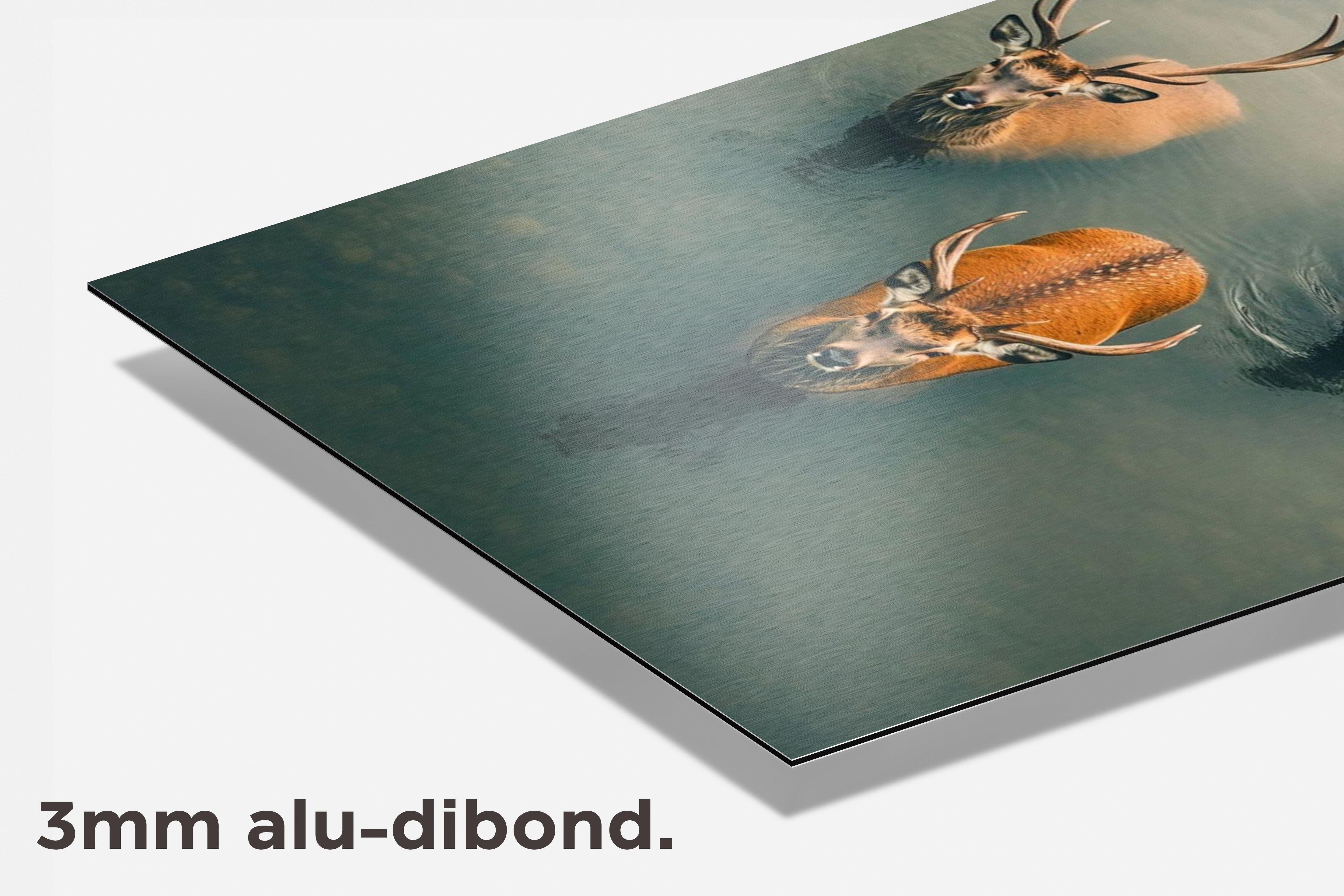 Herten Meer dibond detail