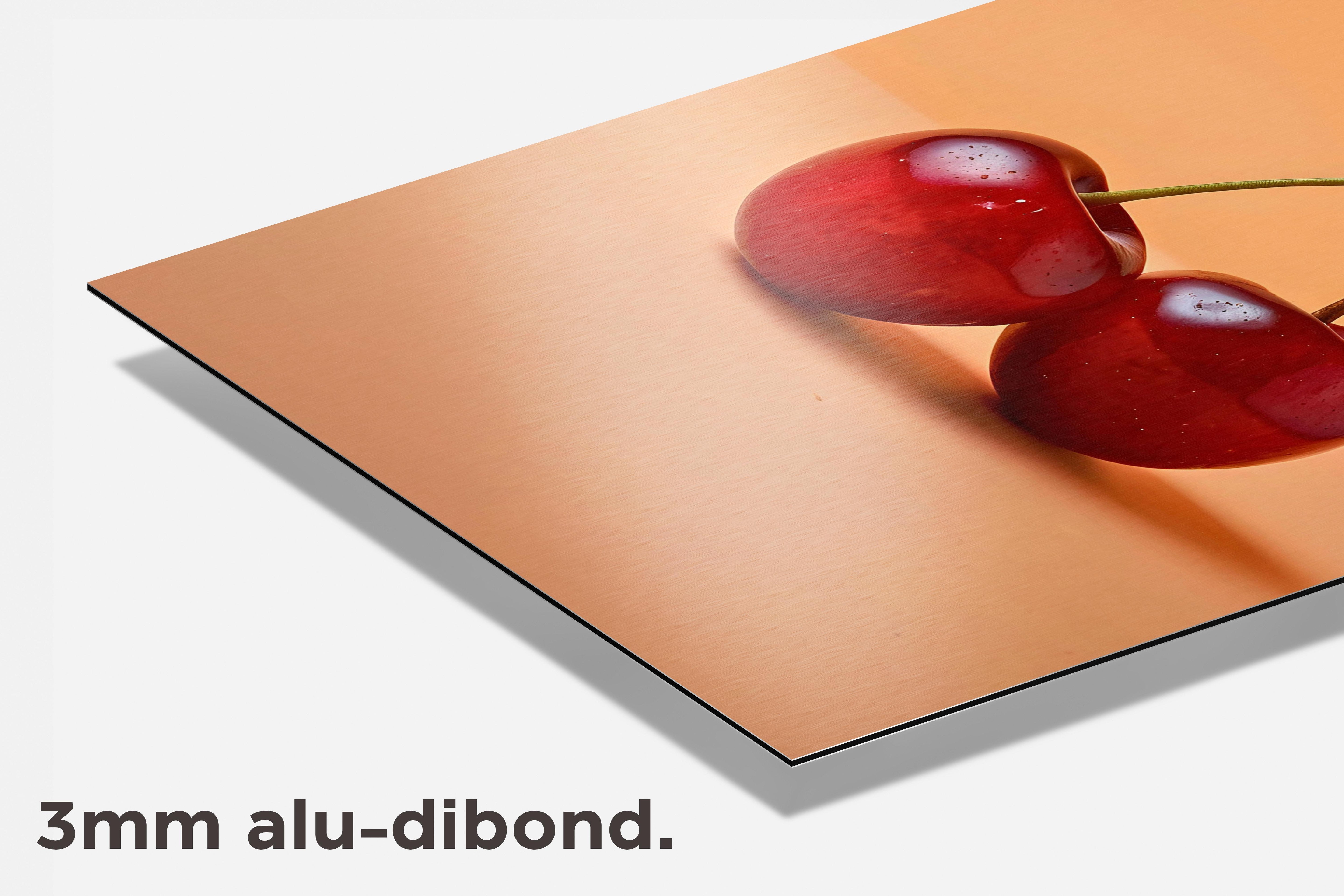 Kers dibond detail