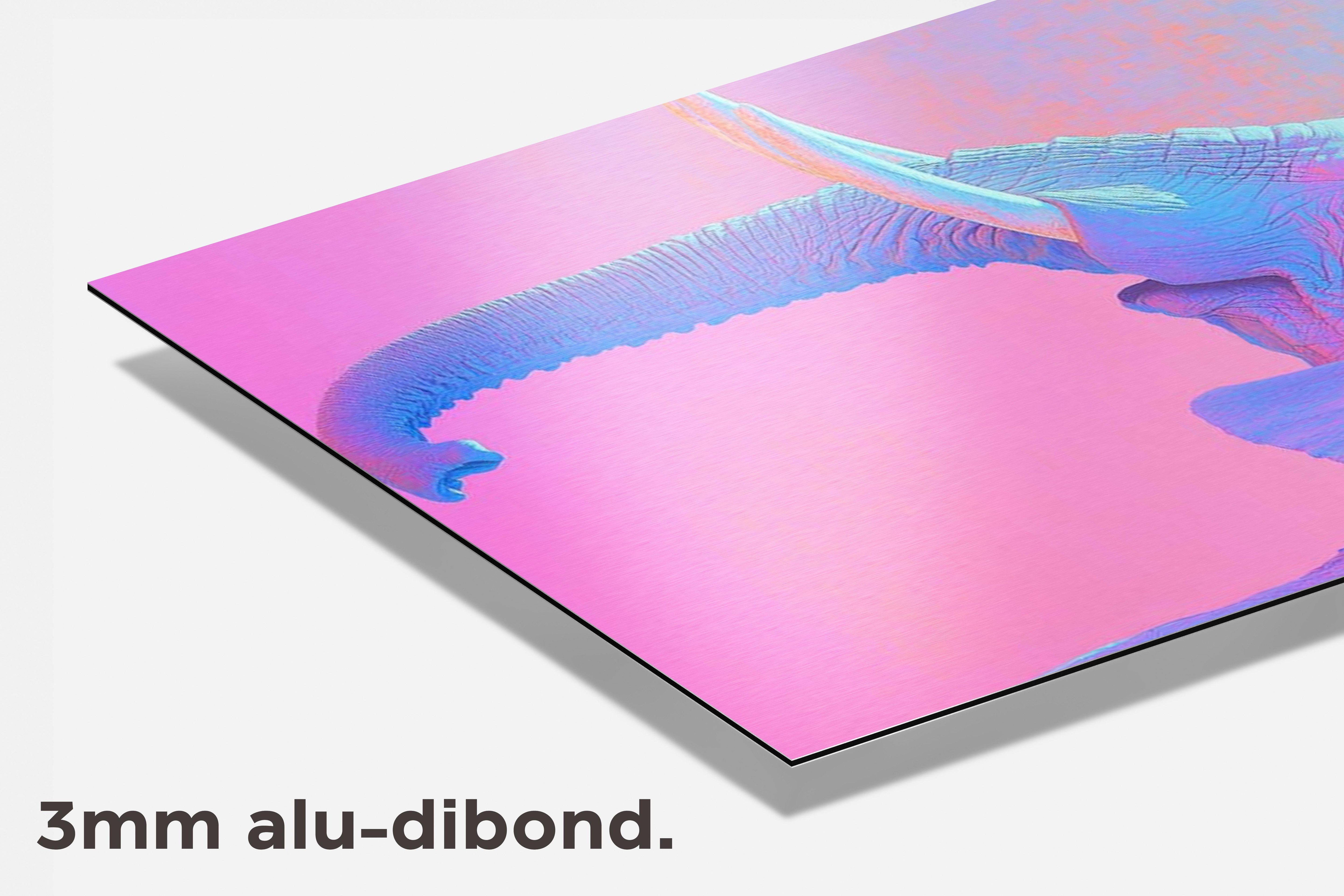 Olifant dibond detail