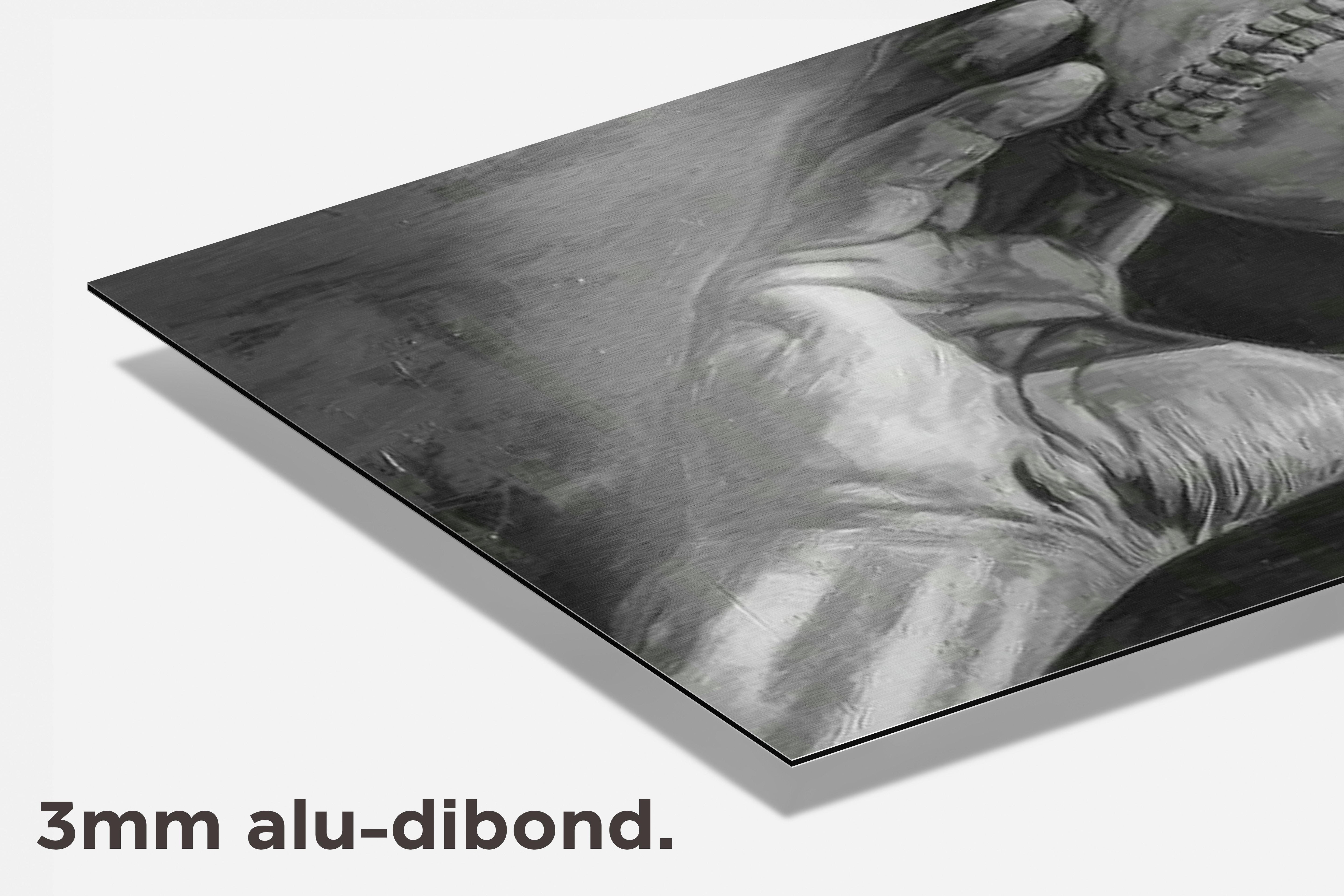Honkbal Zwart Wit dibond detail
