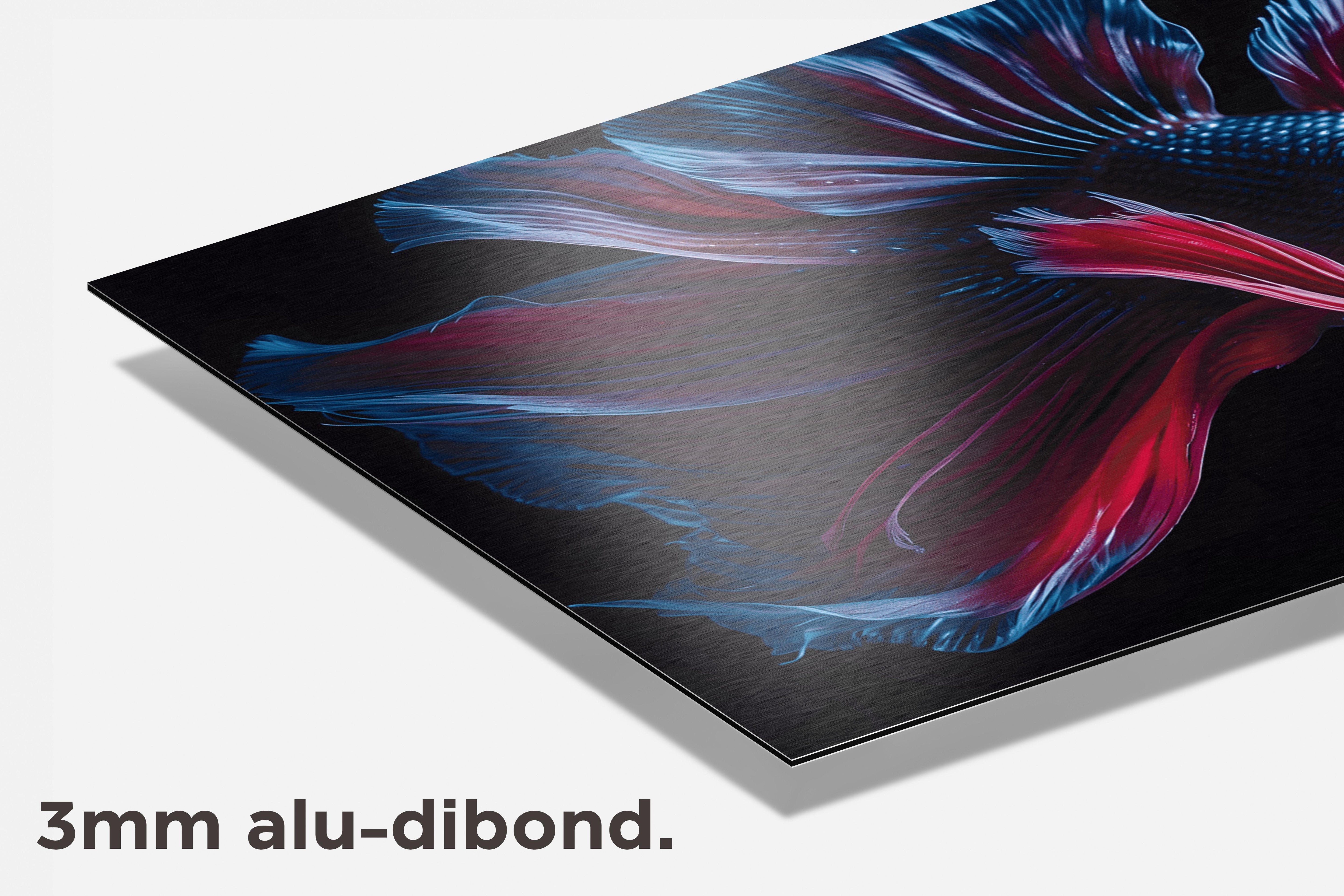 Betta Rood dibond detail