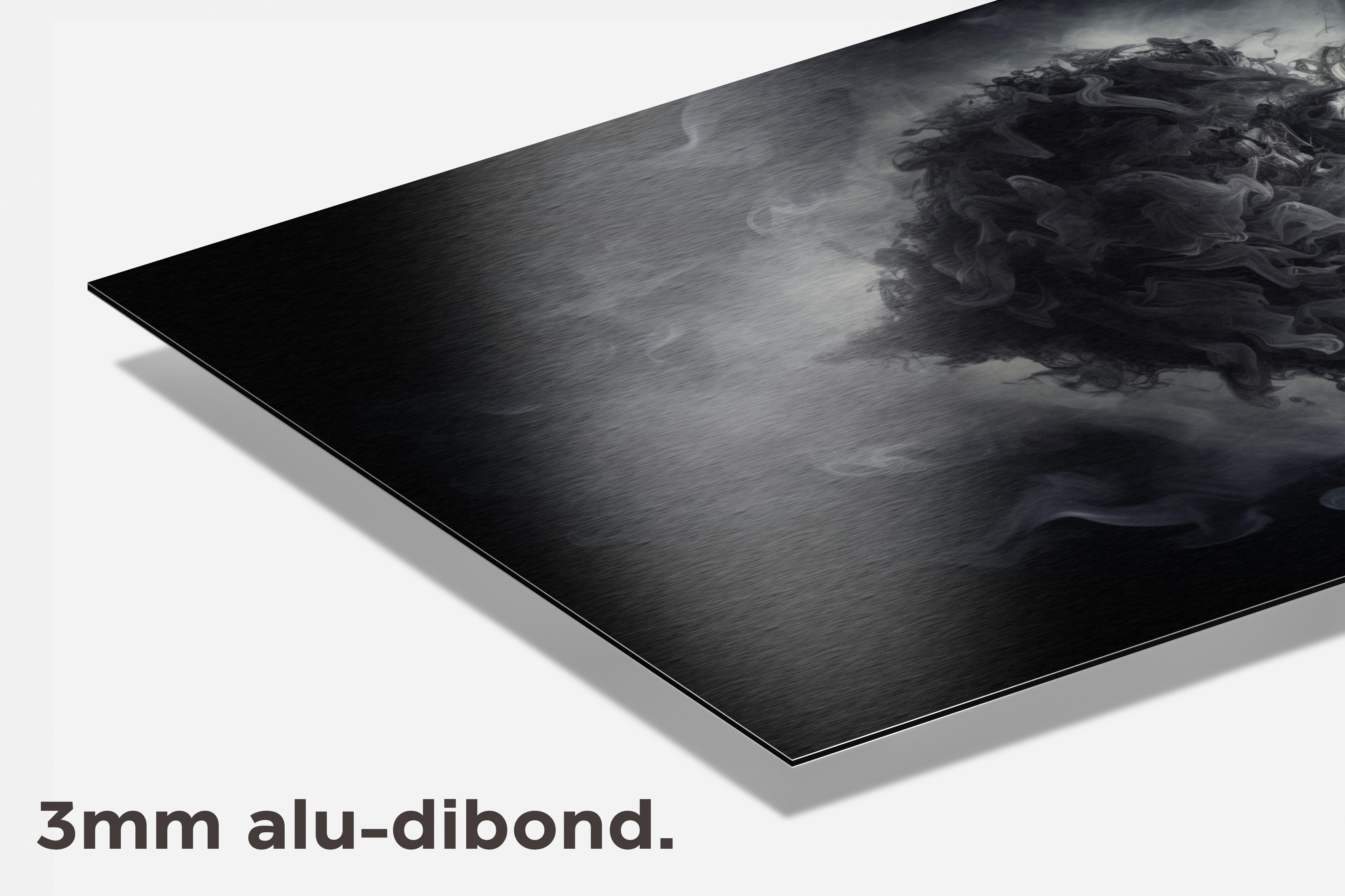 Rook Hart dibond detail