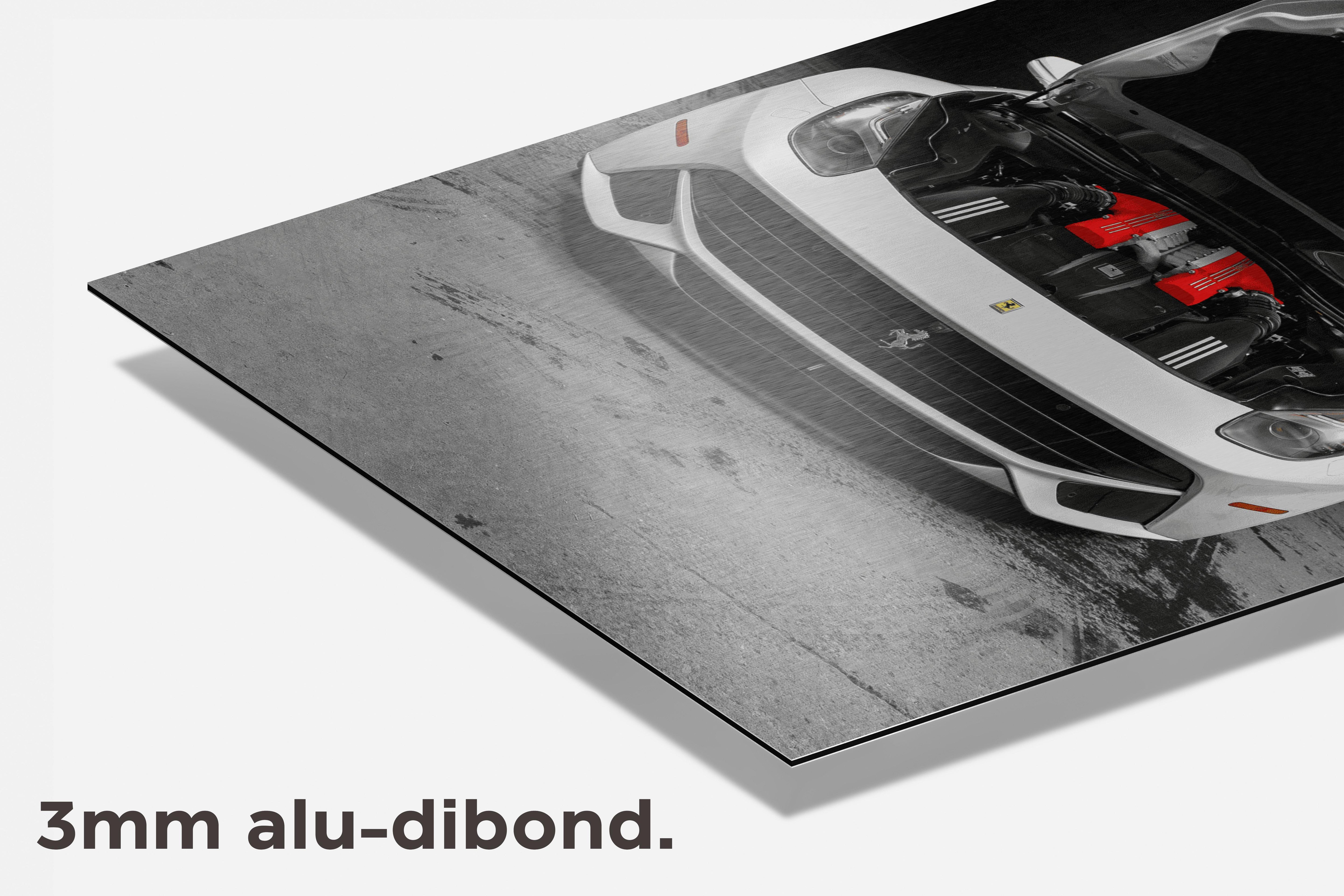 Ferrari Motor dibond detail