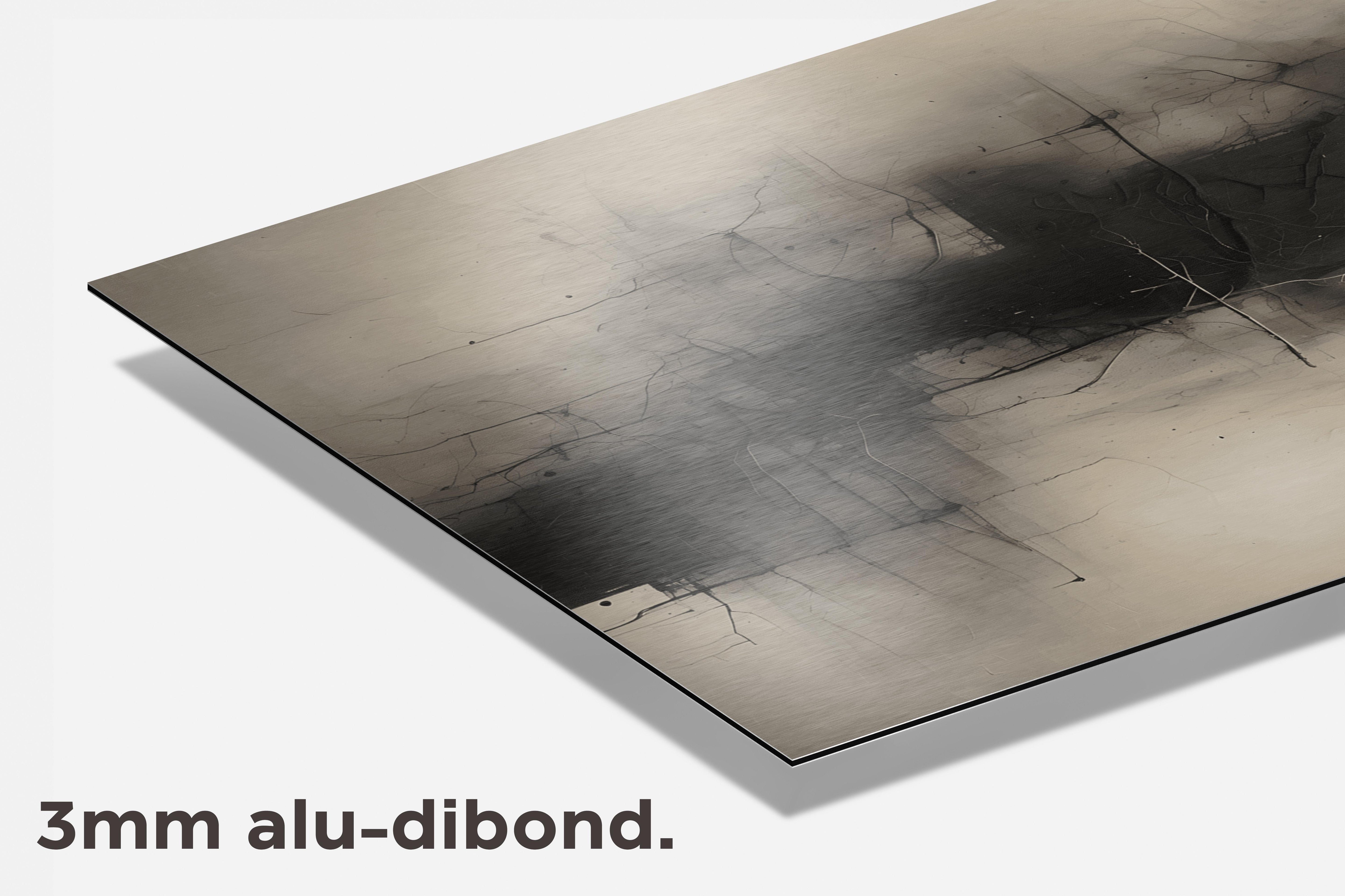 Abstracte Zwart Wit dibond detail