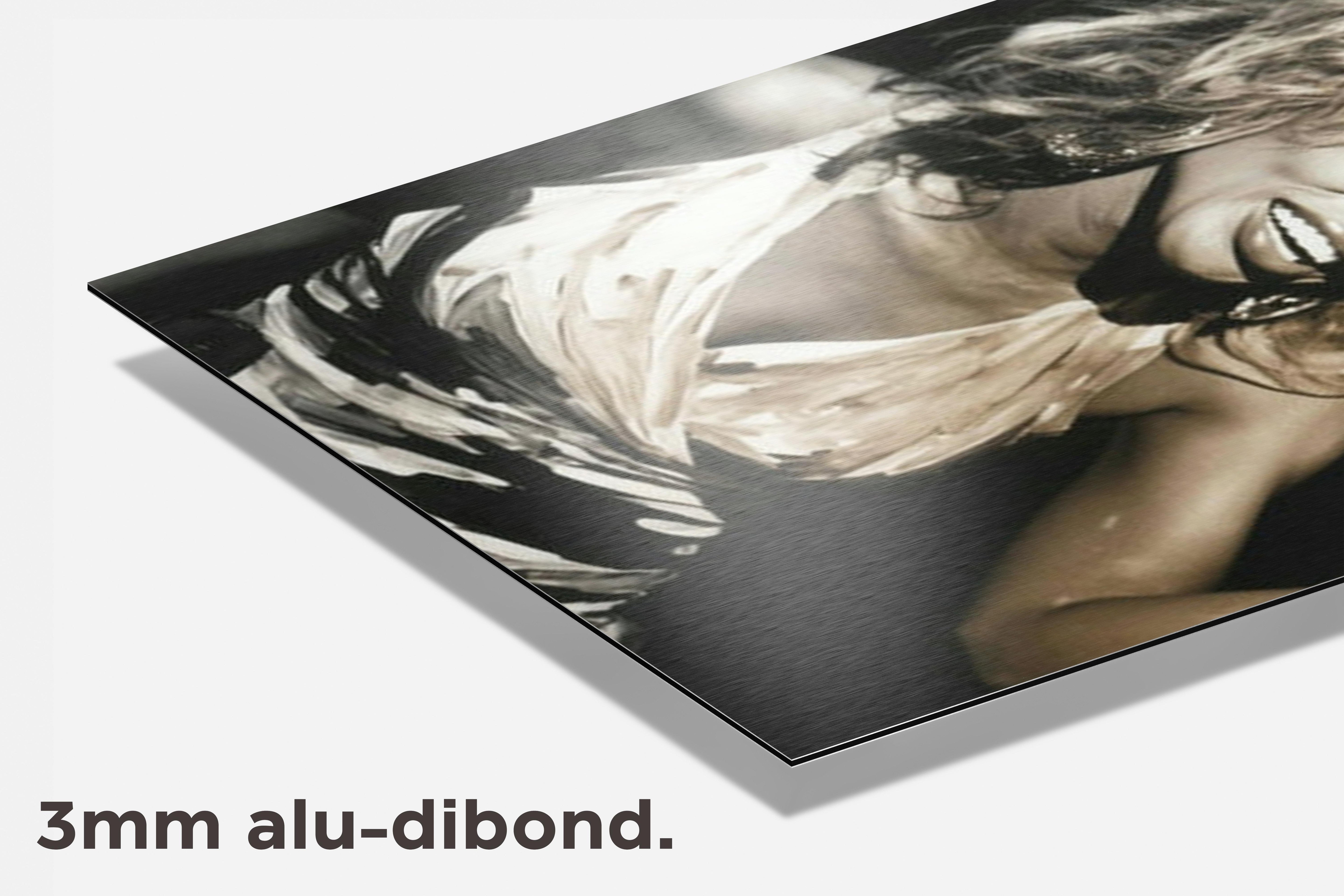 Tina Turner dibond detail