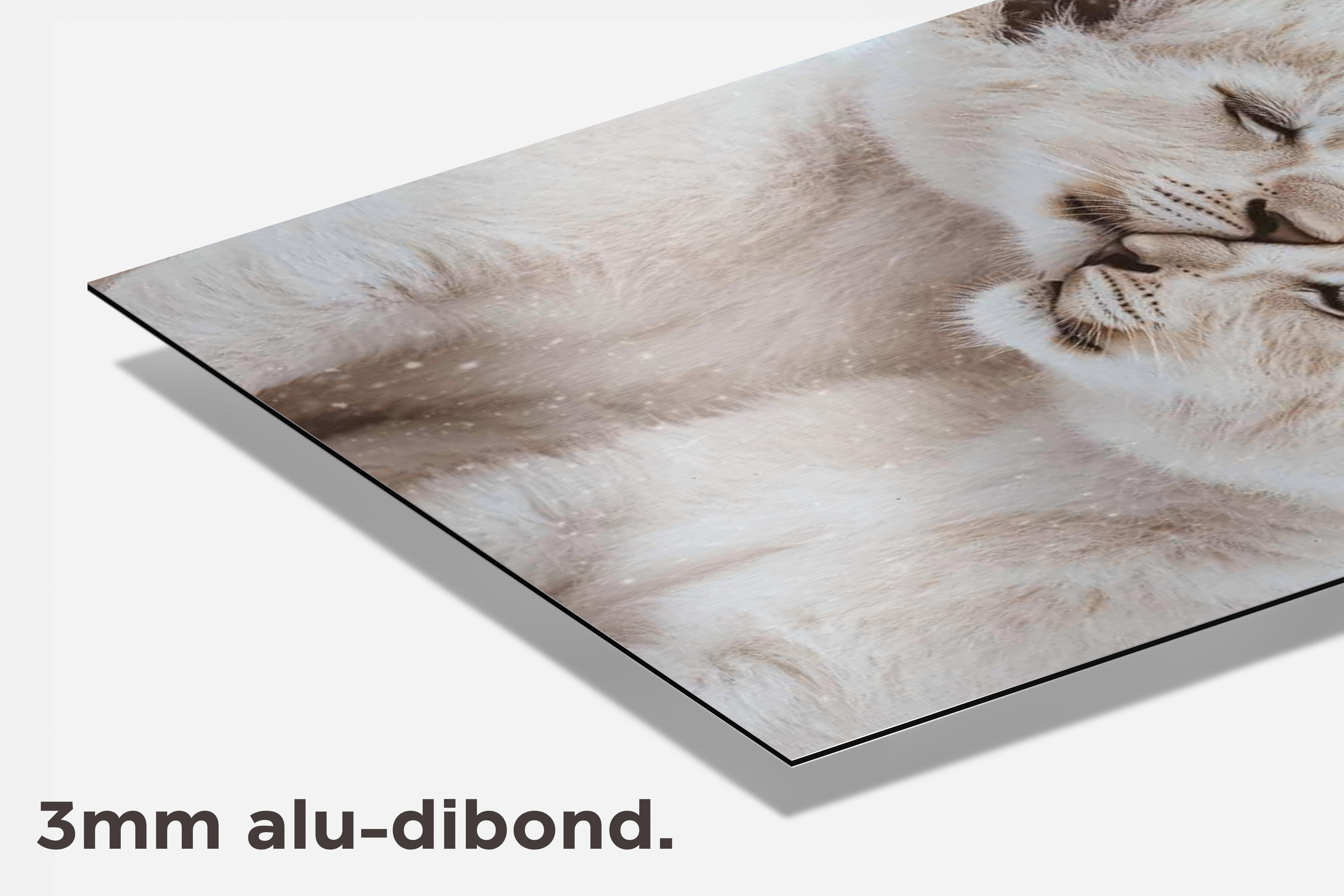 Witte Welpen dibond detail
