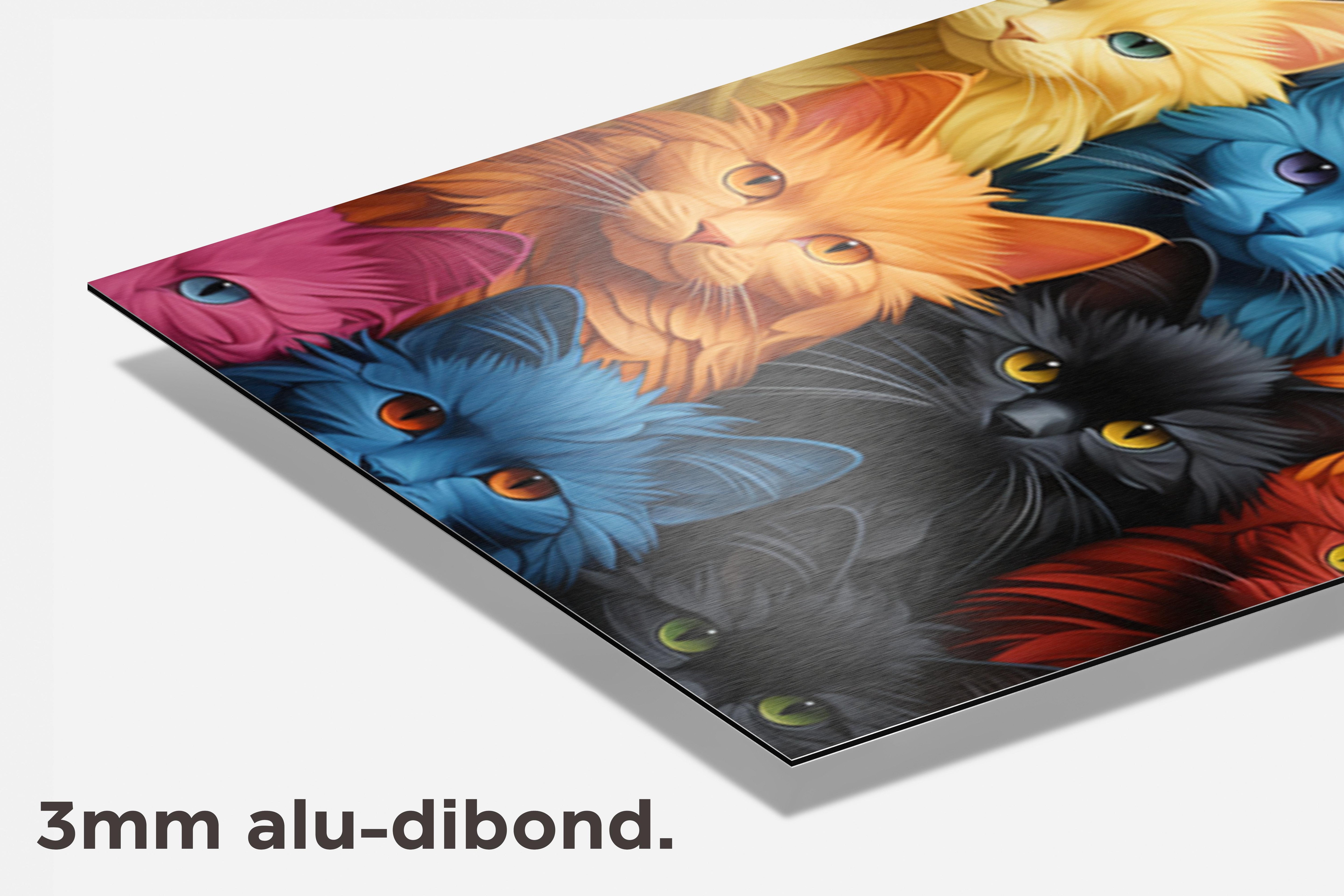 Kleurrijke Katten dibond detail