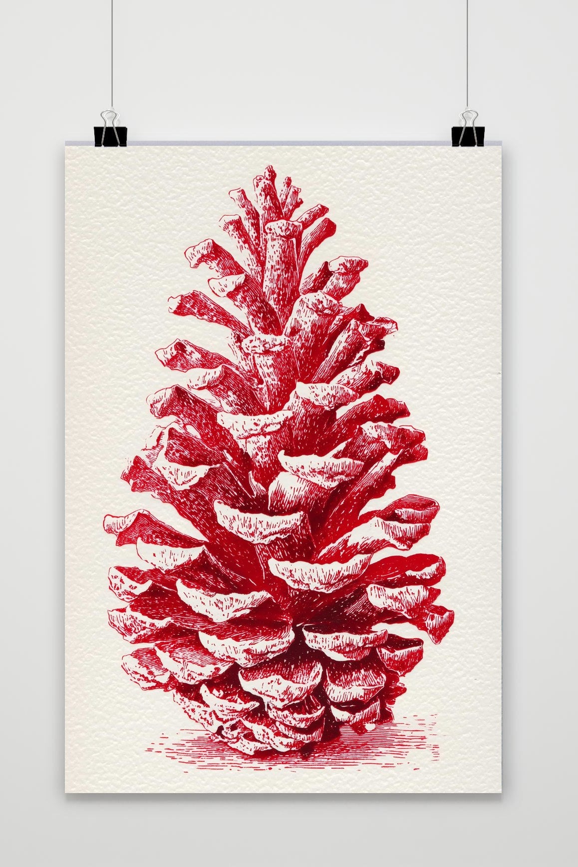 Pinecone Drawing poster van 25 Artstreet