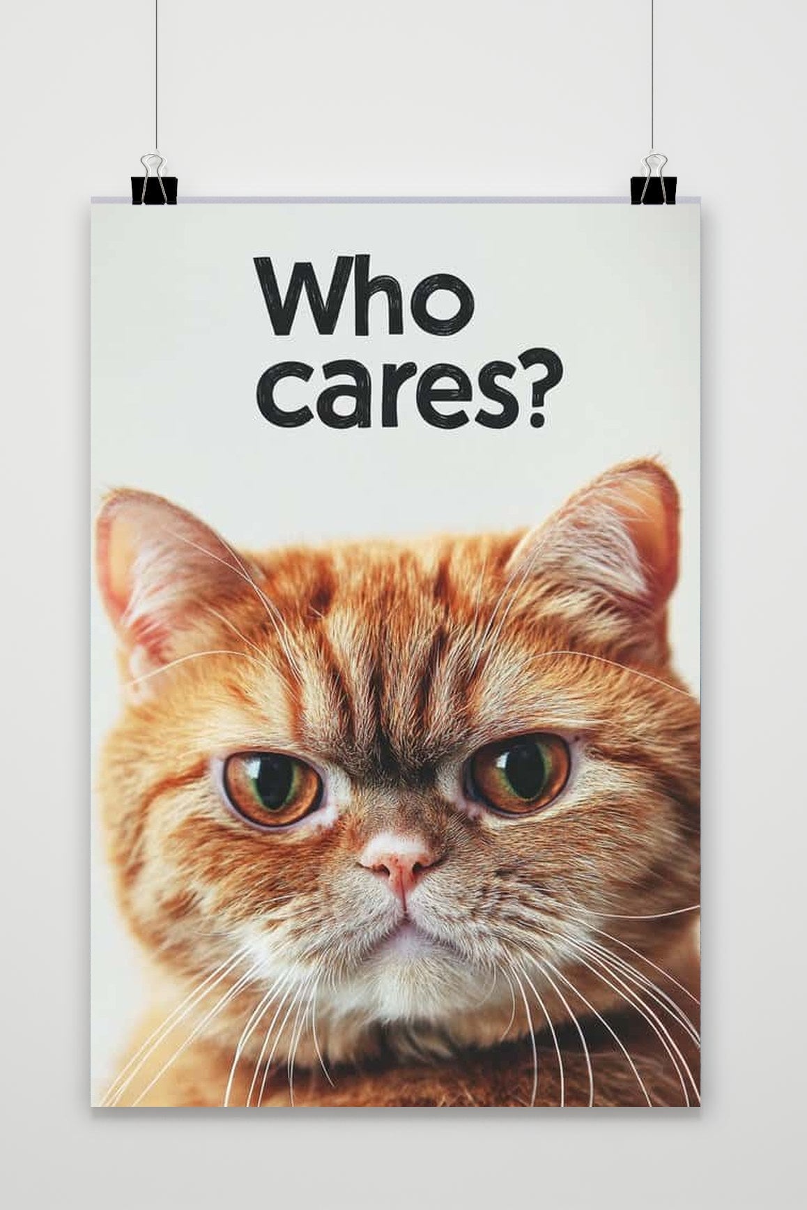 Affiche Who Cares Cat de 25 Artstreet