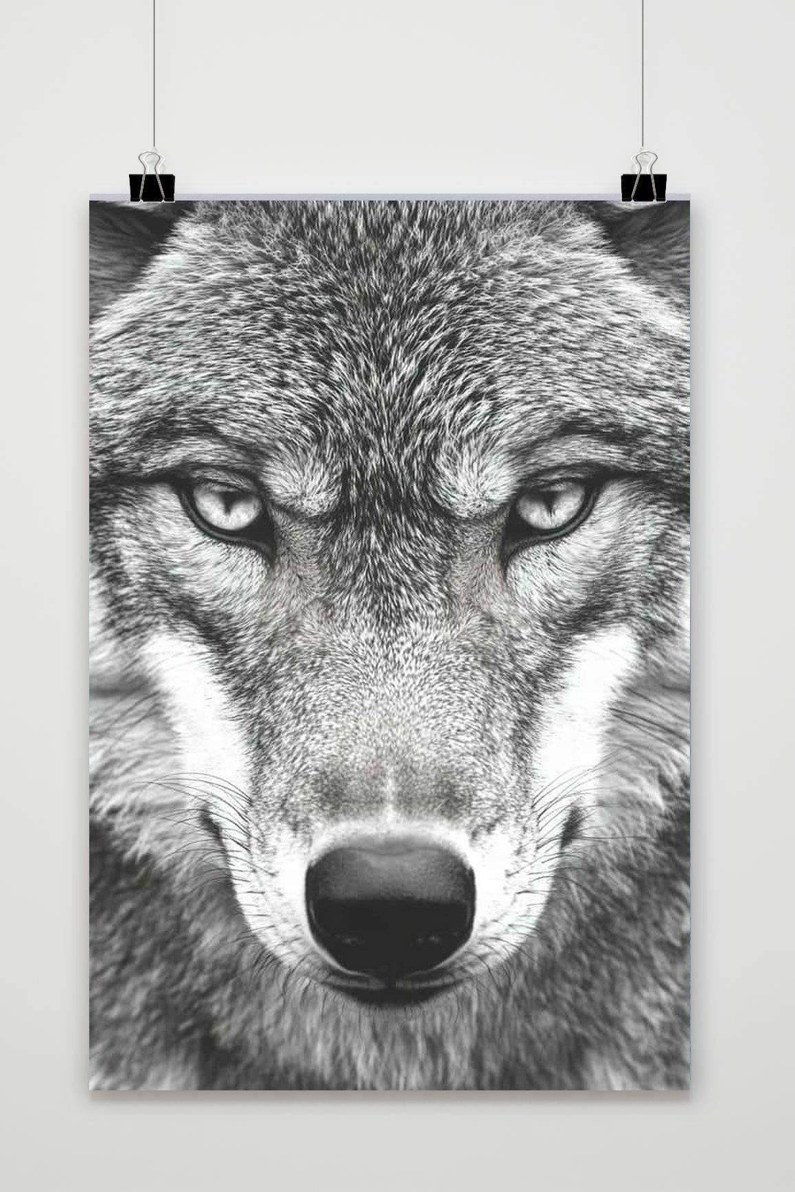 Affiche Wolf Zwart-Wit de 25 Artstreet